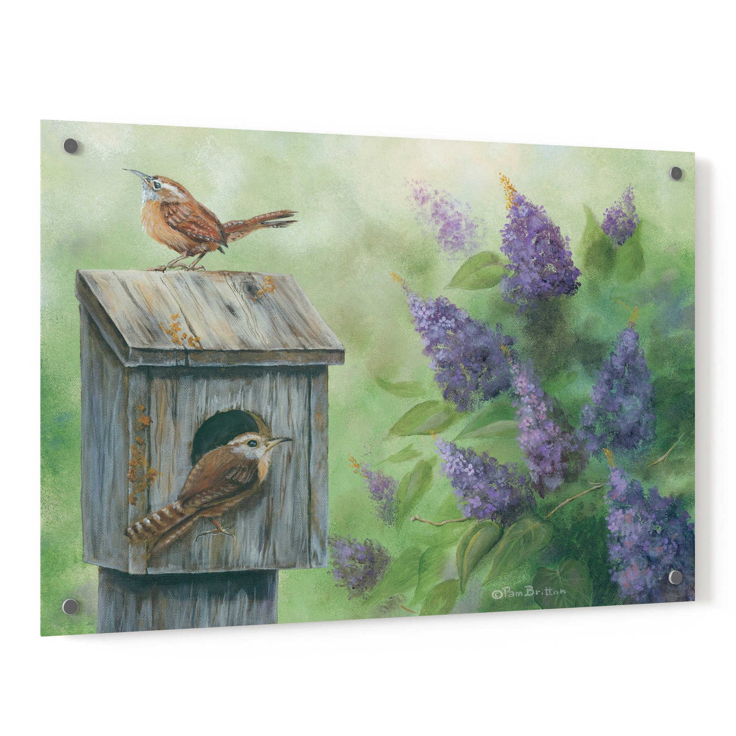 Epic Art 'Wrens & Lilacs' by Pam Britton, Acrylic Glass Wall Art,36x24