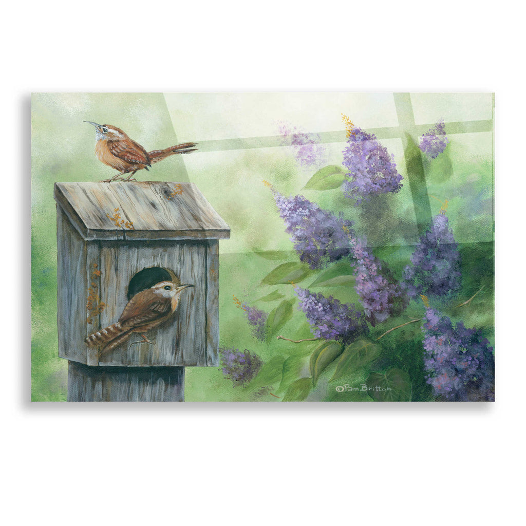 Epic Art 'Wrens & Lilacs' by Pam Britton, Acrylic Glass Wall Art