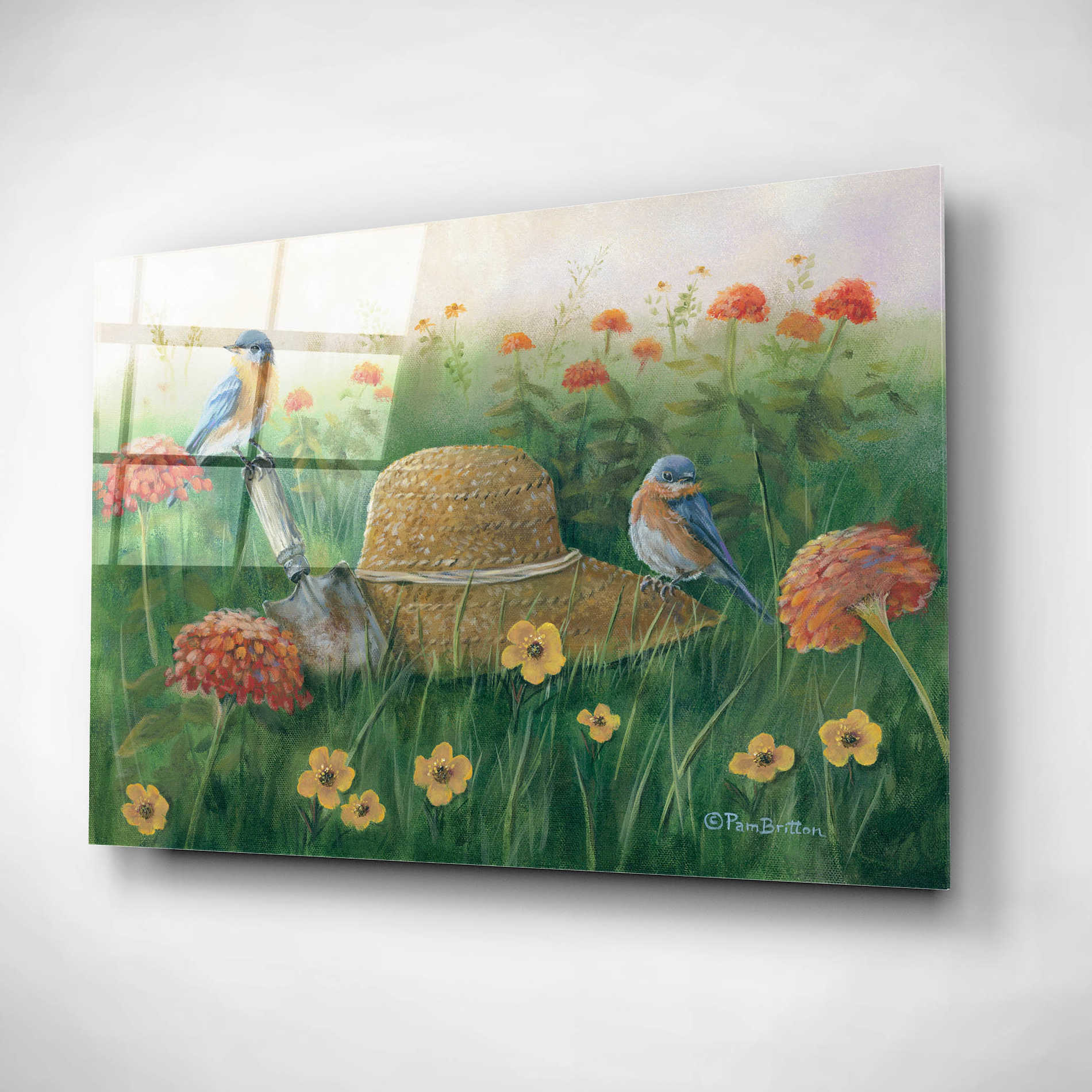 Epic Art 'Bluebirds & Straw Hat' by Pam Britton, Acrylic Glass Wall Art,16x12