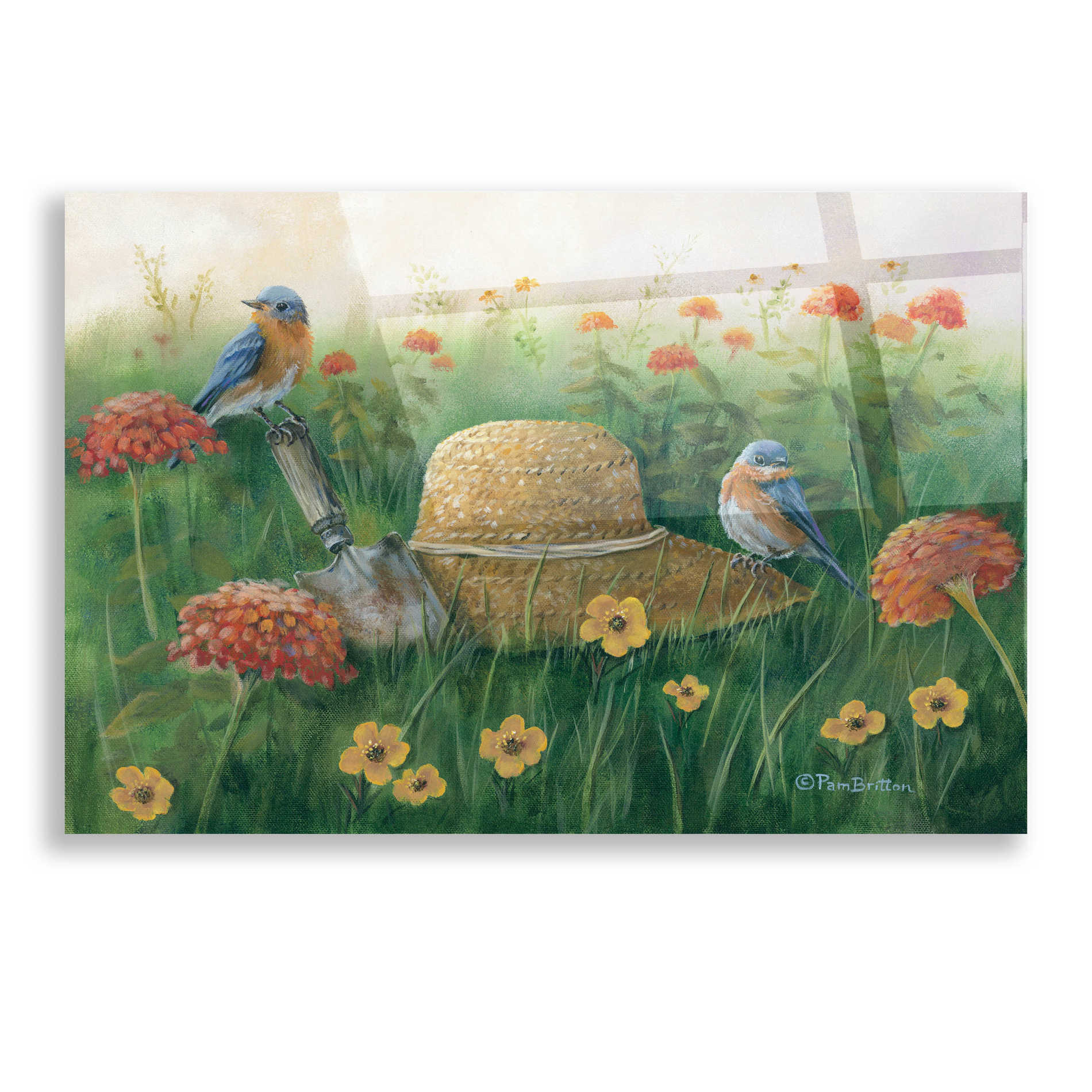 Epic Art 'Bluebirds & Straw Hat' by Pam Britton, Acrylic Glass Wall Art,16x12