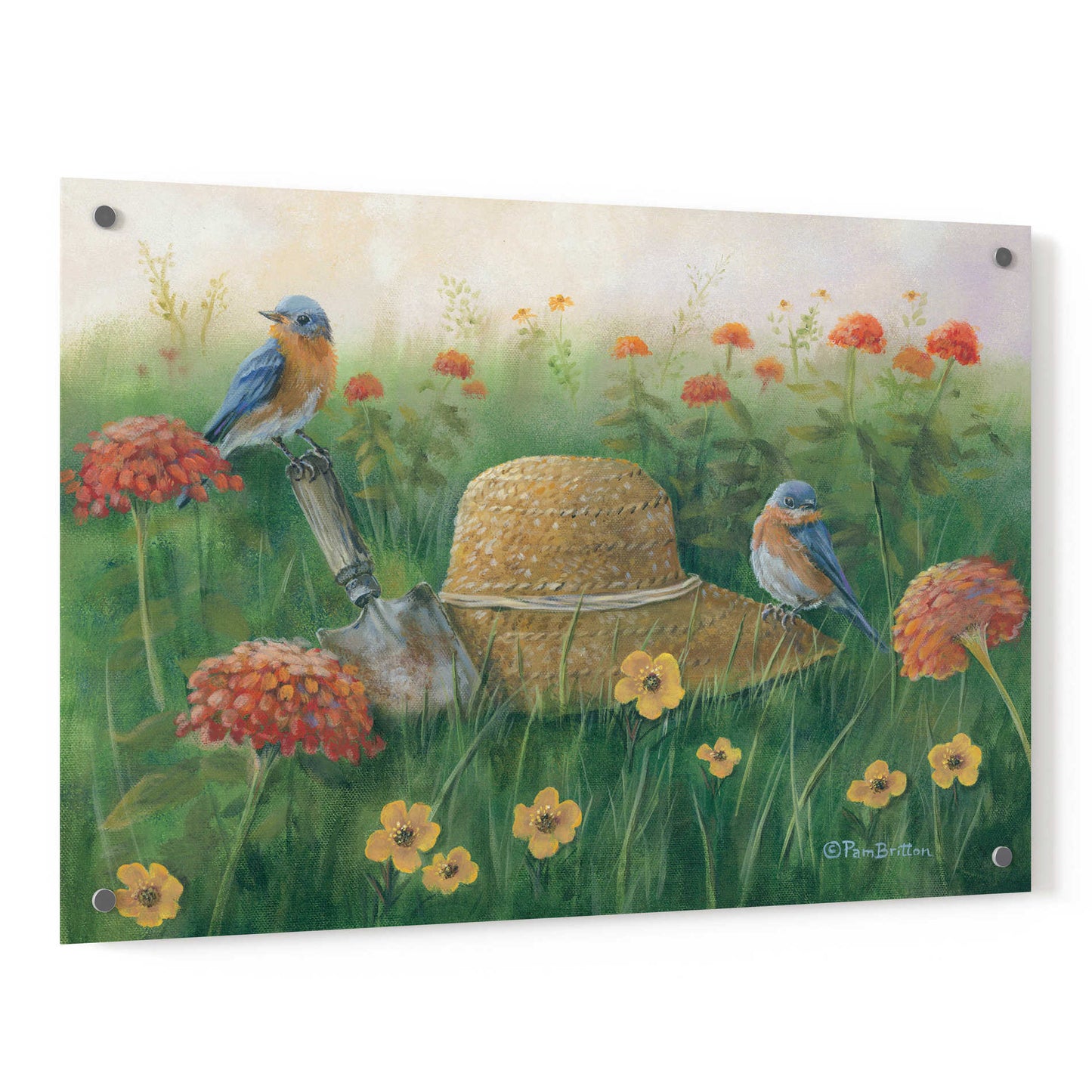 Epic Art 'Bluebirds & Straw Hat' by Pam Britton, Acrylic Glass Wall Art,36x24