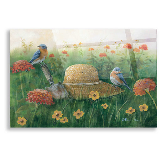 Epic Art 'Bluebirds & Straw Hat' by Pam Britton, Acrylic Glass Wall Art