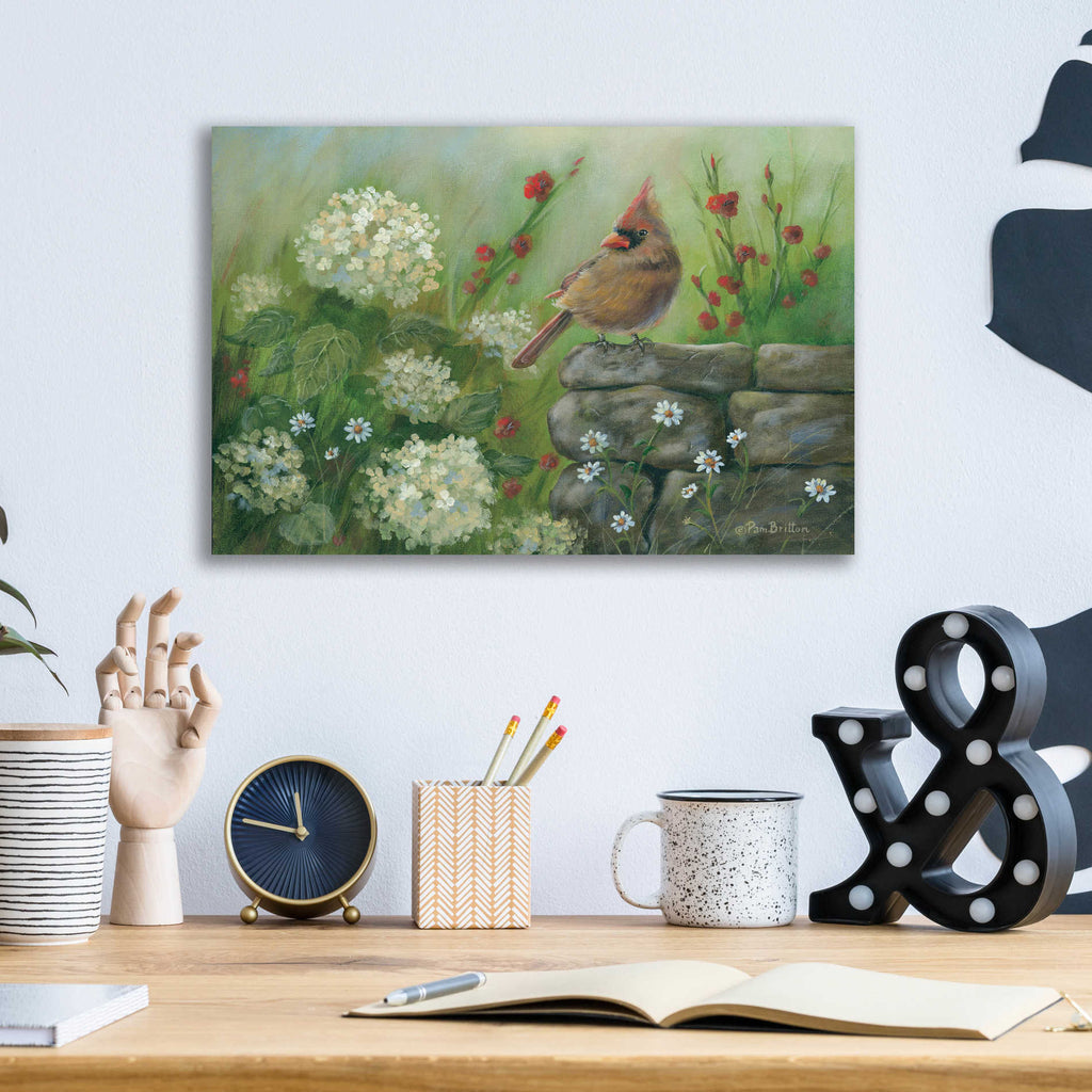 Epic Art 'Cardinal & Hydrangeas' by Pam Britton, Acrylic Glass Wall Art,16x12