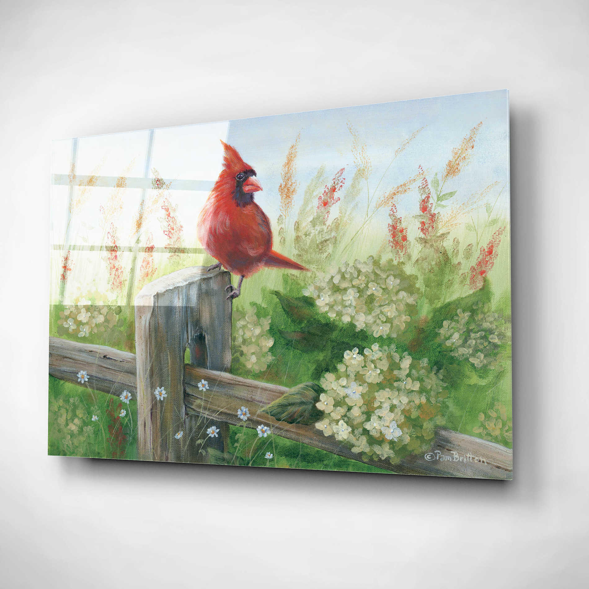 Epic Art 'Cardinal on Fence' by Pam Britton, Acrylic Glass Wall Art,16x12