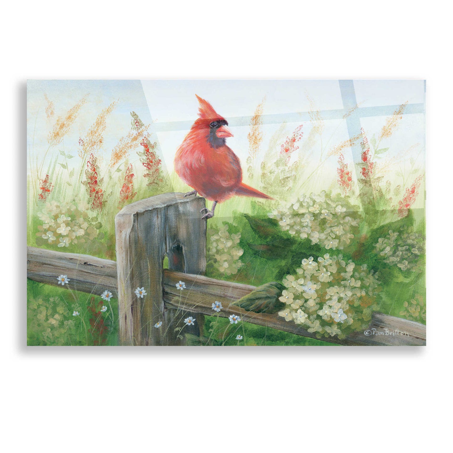 Epic Art 'Cardinal on Fence' by Pam Britton, Acrylic Glass Wall Art,16x12