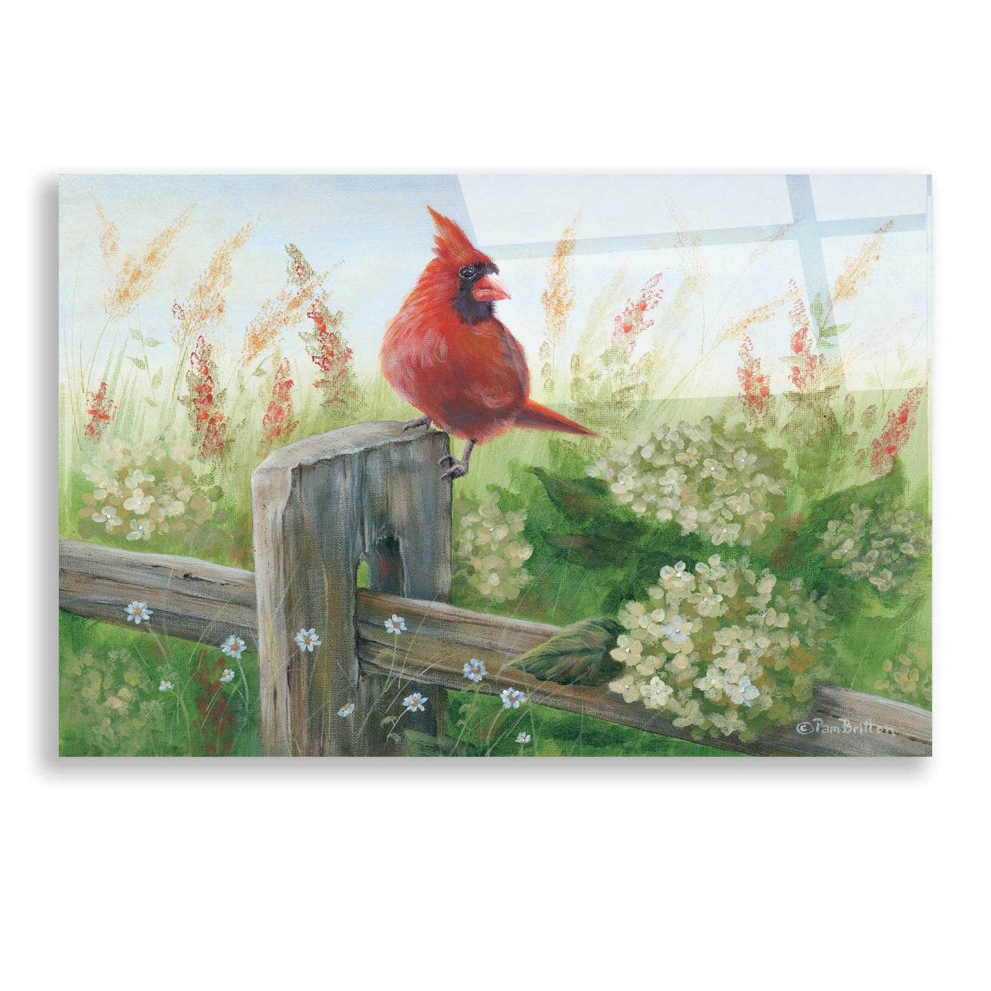 Epic Art 'Cardinal on Fence' by Pam Britton, Acrylic Glass Wall Art,24x16