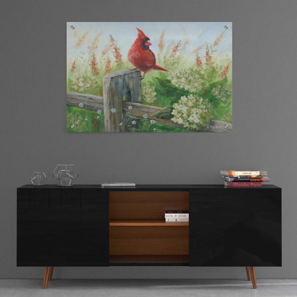 Epic Art 'Cardinal on Fence' by Pam Britton, Acrylic Glass Wall Art,36x24