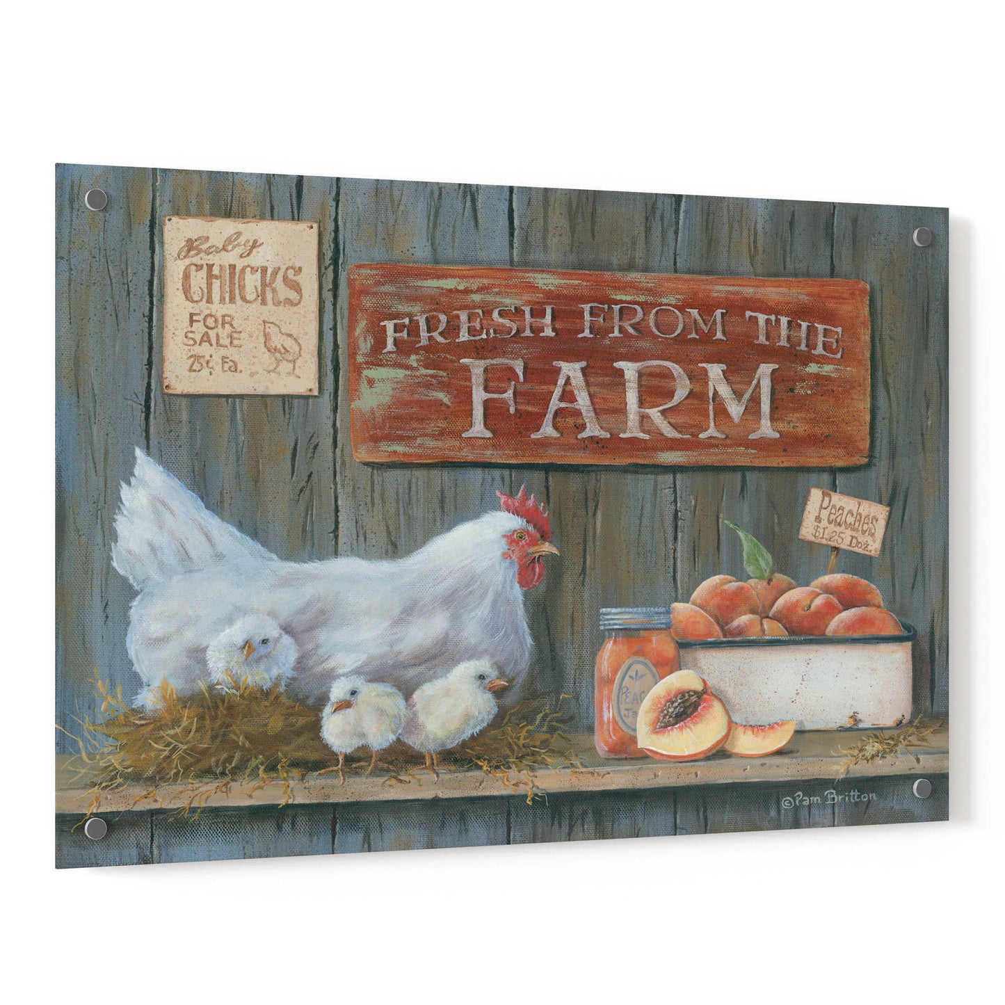 Epic Art 'Fresh from the Farm' by Pam Britton, Acrylic Glass Wall Art,36x24