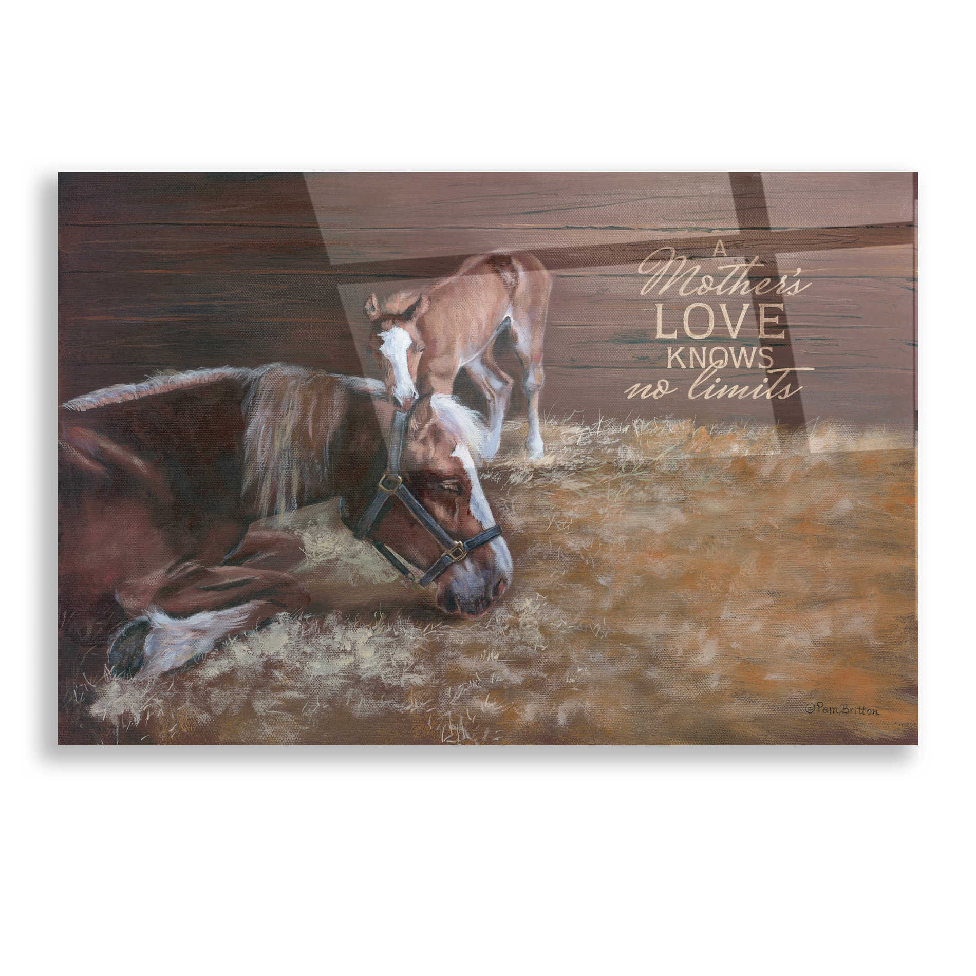 Epic Art 'A Mother's Love' by Pam Britton, Acrylic Glass Wall Art,16x12