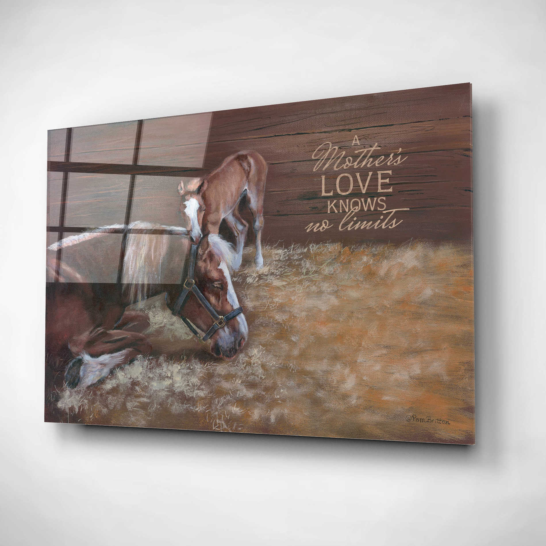 Epic Art 'A Mother's Love' by Pam Britton, Acrylic Glass Wall Art,24x16