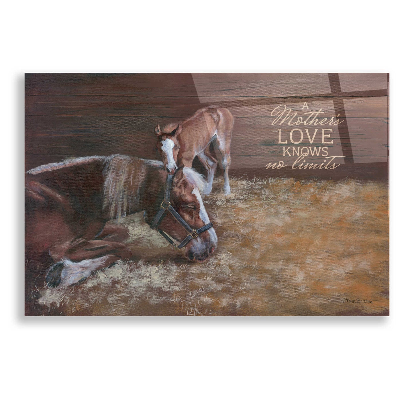 Epic Art 'A Mother's Love' by Pam Britton, Acrylic Glass Wall Art,24x16