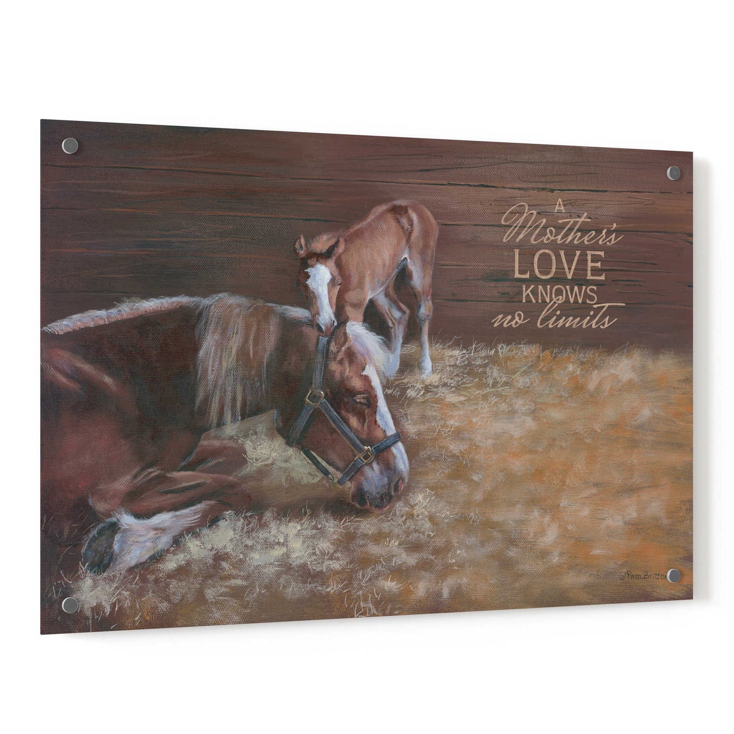 Epic Art 'A Mother's Love' by Pam Britton, Acrylic Glass Wall Art,36x24