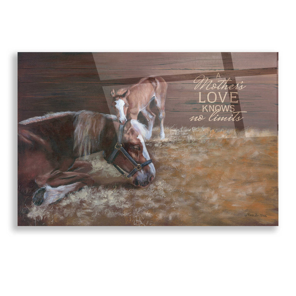 Epic Art 'A Mother's Love' by Pam Britton, Acrylic Glass Wall Art