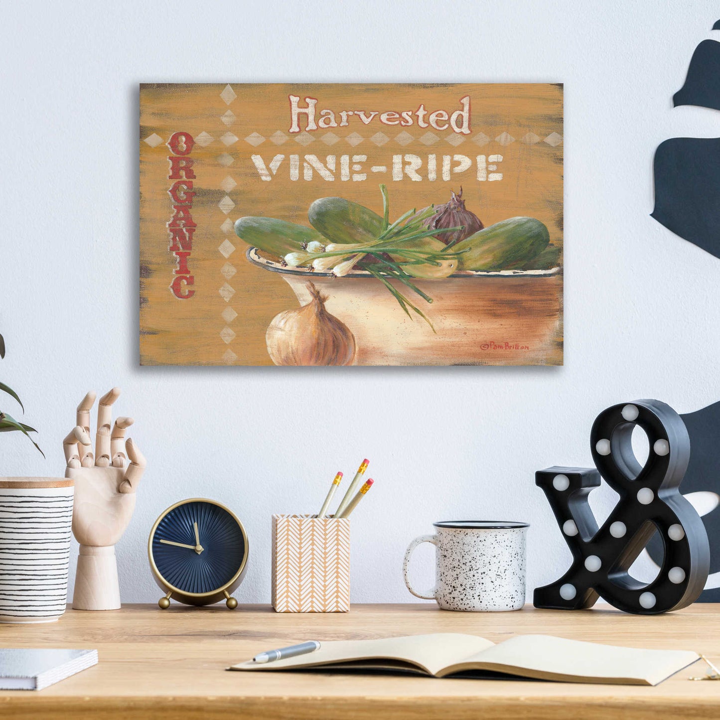 Epic Art 'Vine Ripe' by Pam Britton, Acrylic Glass Wall Art,16x12