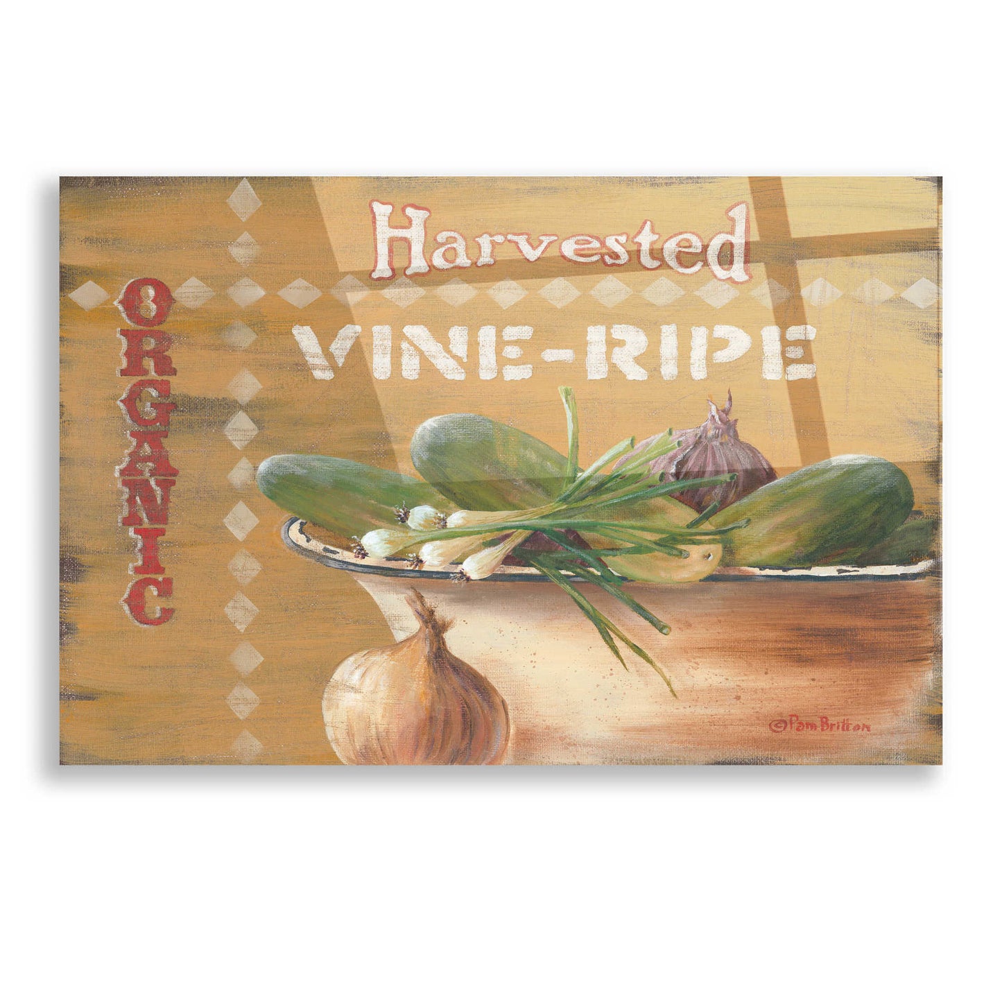 Epic Art 'Vine Ripe' by Pam Britton, Acrylic Glass Wall Art,16x12