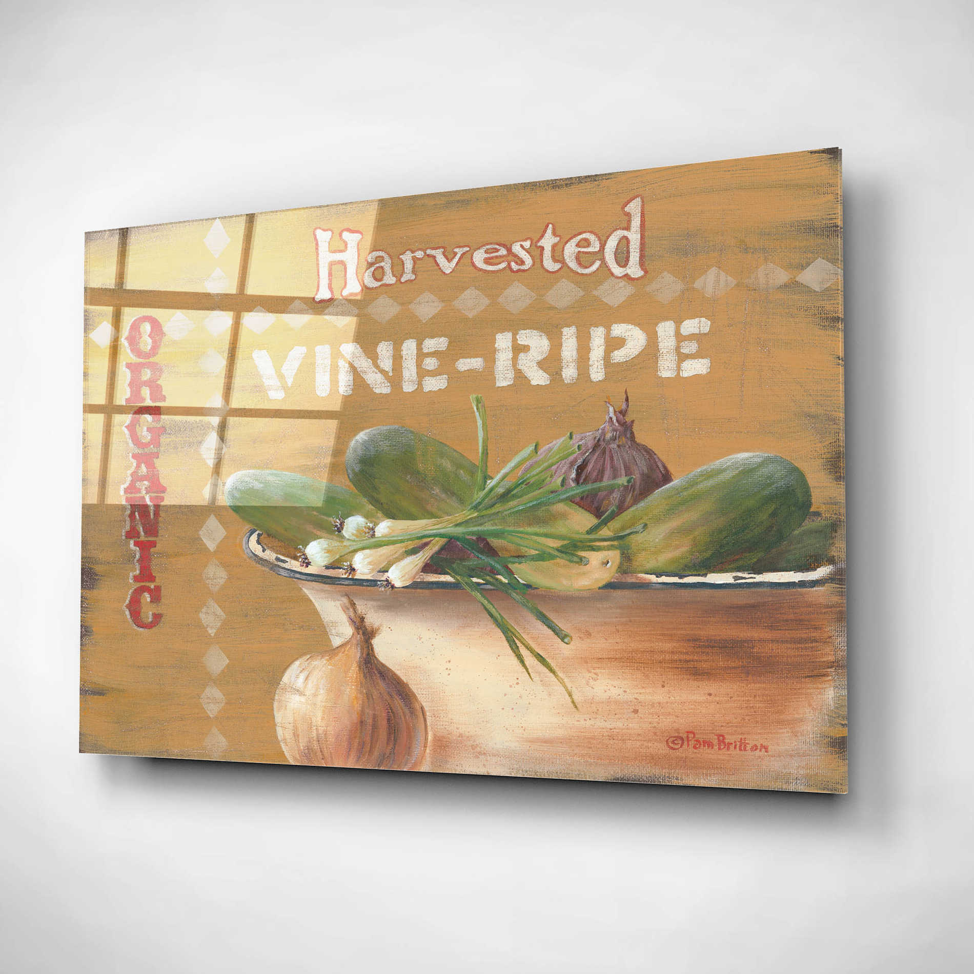 Epic Art 'Vine Ripe' by Pam Britton, Acrylic Glass Wall Art,24x16