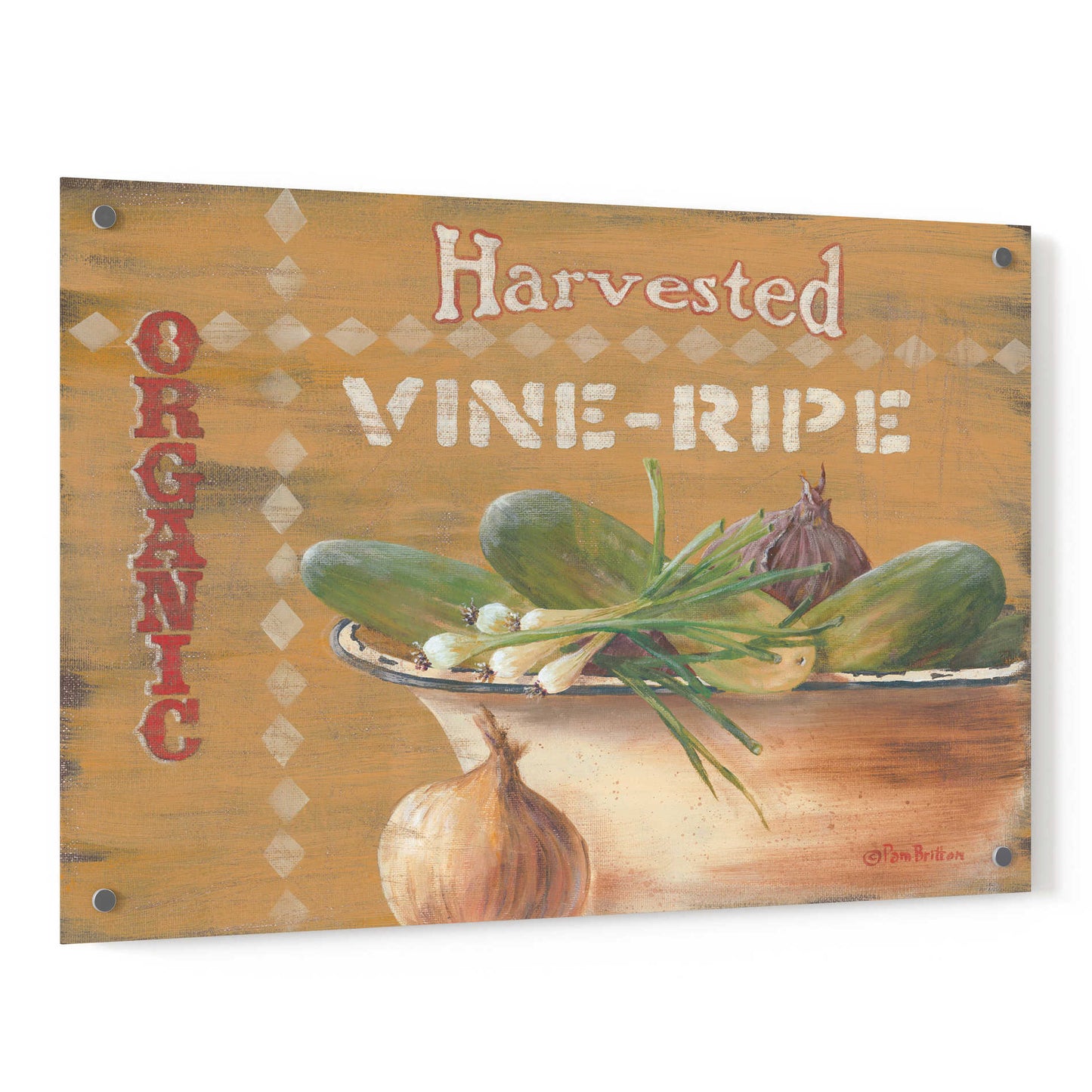 Epic Art 'Vine Ripe' by Pam Britton, Acrylic Glass Wall Art,36x24