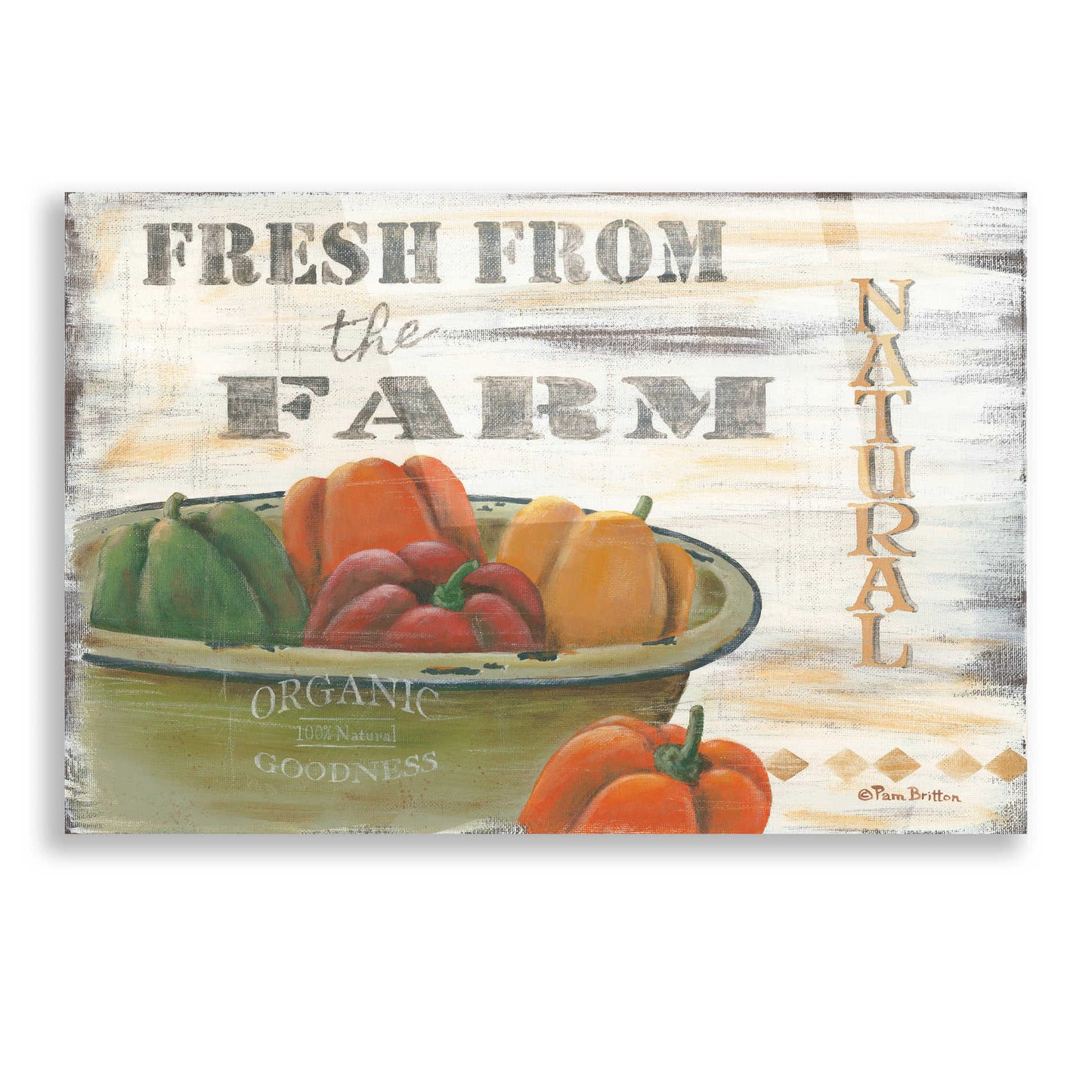 Epic Art 'Fresn From the Farm, Natural' by Pam Britton, Acrylic Glass Wall Art,16x12