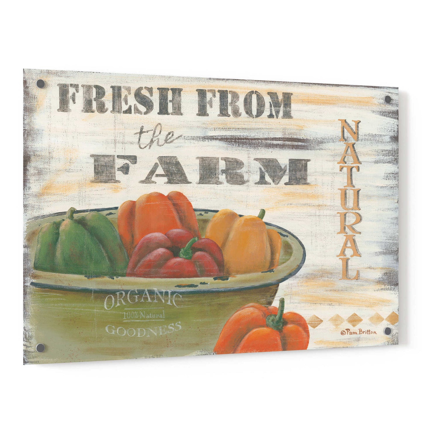 Epic Art 'Fresn From the Farm, Natural' by Pam Britton, Acrylic Glass Wall Art,36x24