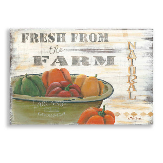 Epic Art 'Fresn From the Farm, Natural' by Pam Britton, Acrylic Glass Wall Art