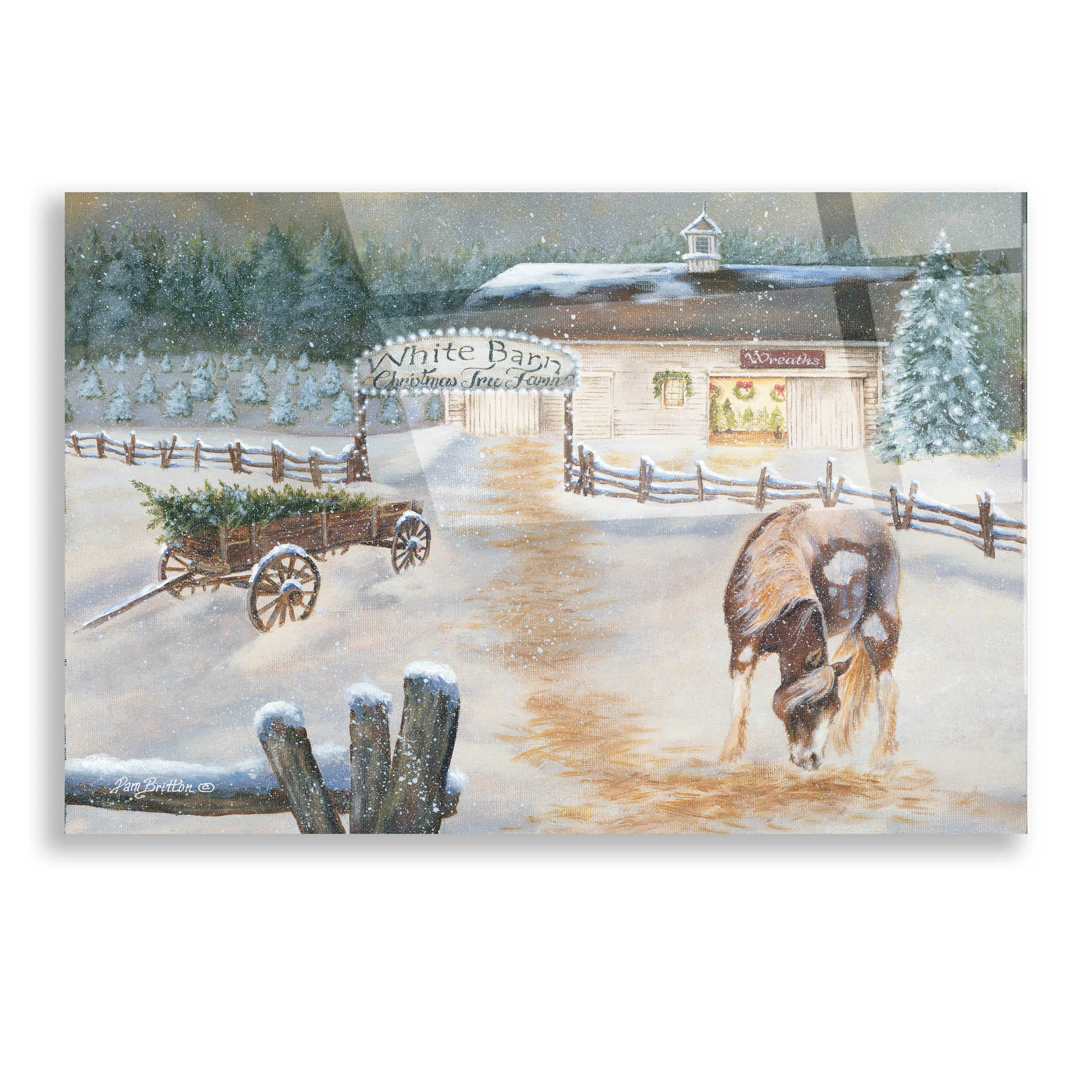 Epic Art 'White Barn Tree Farm' by Pam Britton, Acrylic Glass Wall Art,16x12