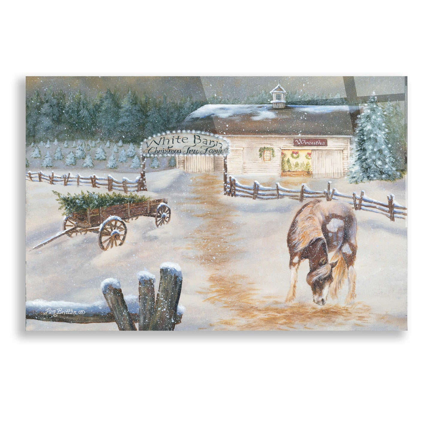 Epic Art 'White Barn Tree Farm' by Pam Britton, Acrylic Glass Wall Art,24x16