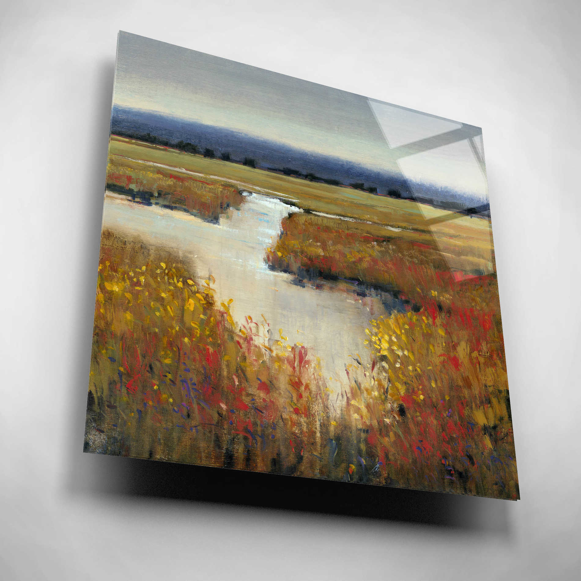 Epic Art 'Marsh Land I' by Tim O'Toole, Acrylic Glass Wall Art,12x12