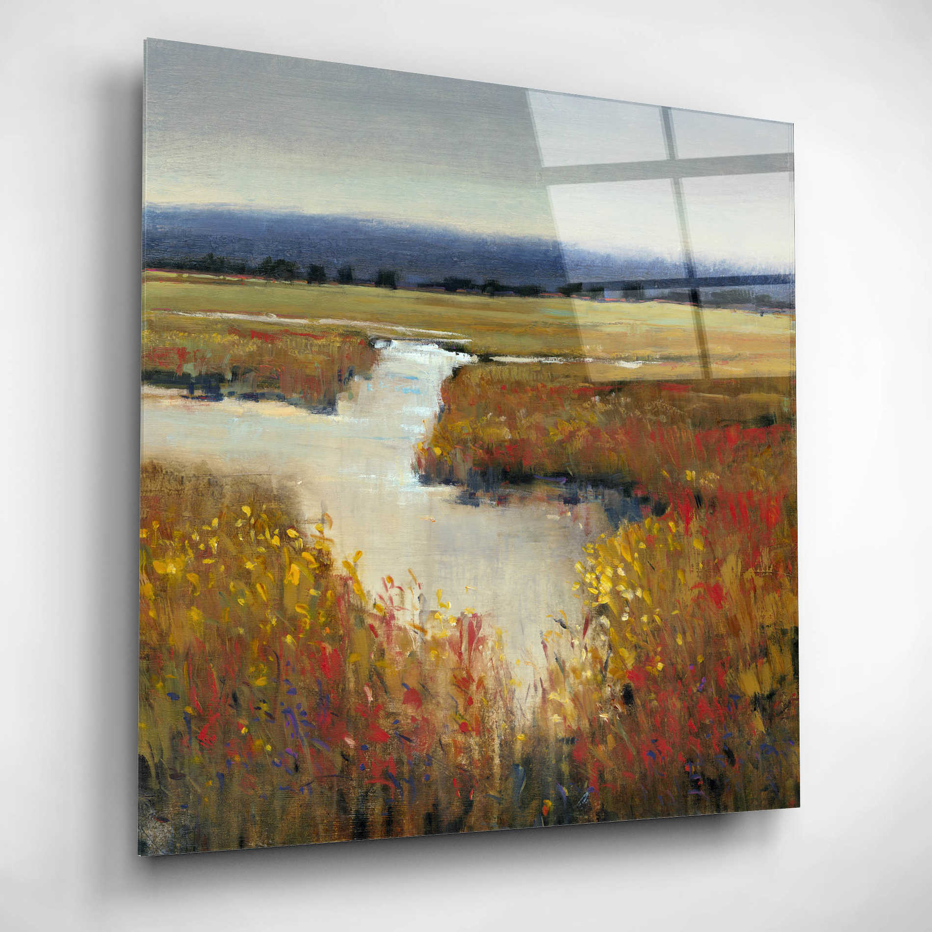 Epic Art 'Marsh Land I' by Tim O'Toole, Acrylic Glass Wall Art,12x12