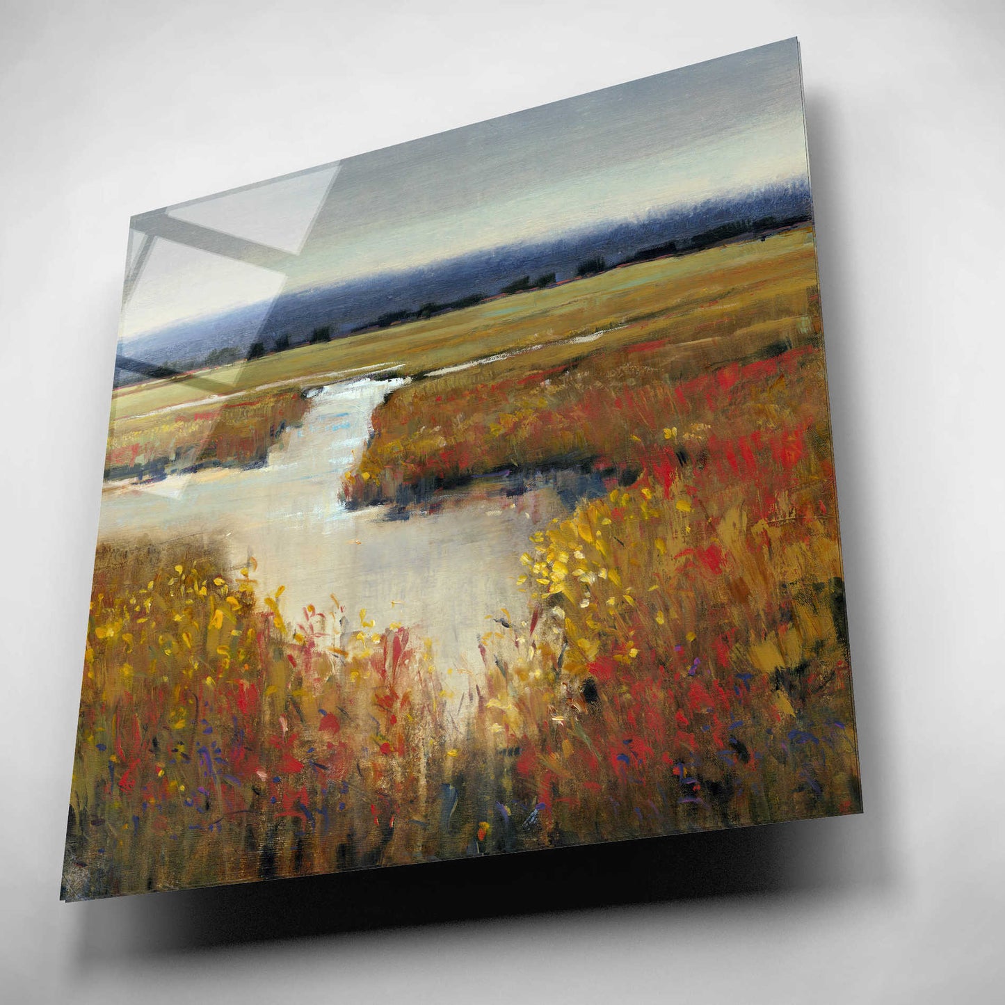 Epic Art 'Marsh Land I' by Tim O'Toole, Acrylic Glass Wall Art,12x12
