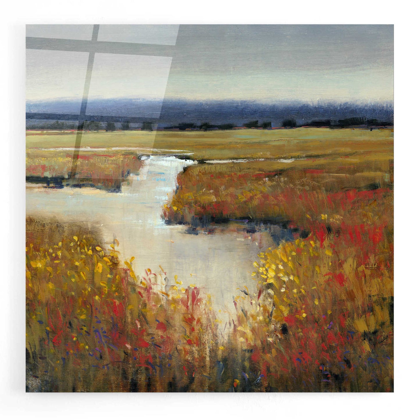 Epic Art 'Marsh Land I' by Tim O'Toole, Acrylic Glass Wall Art,24x24