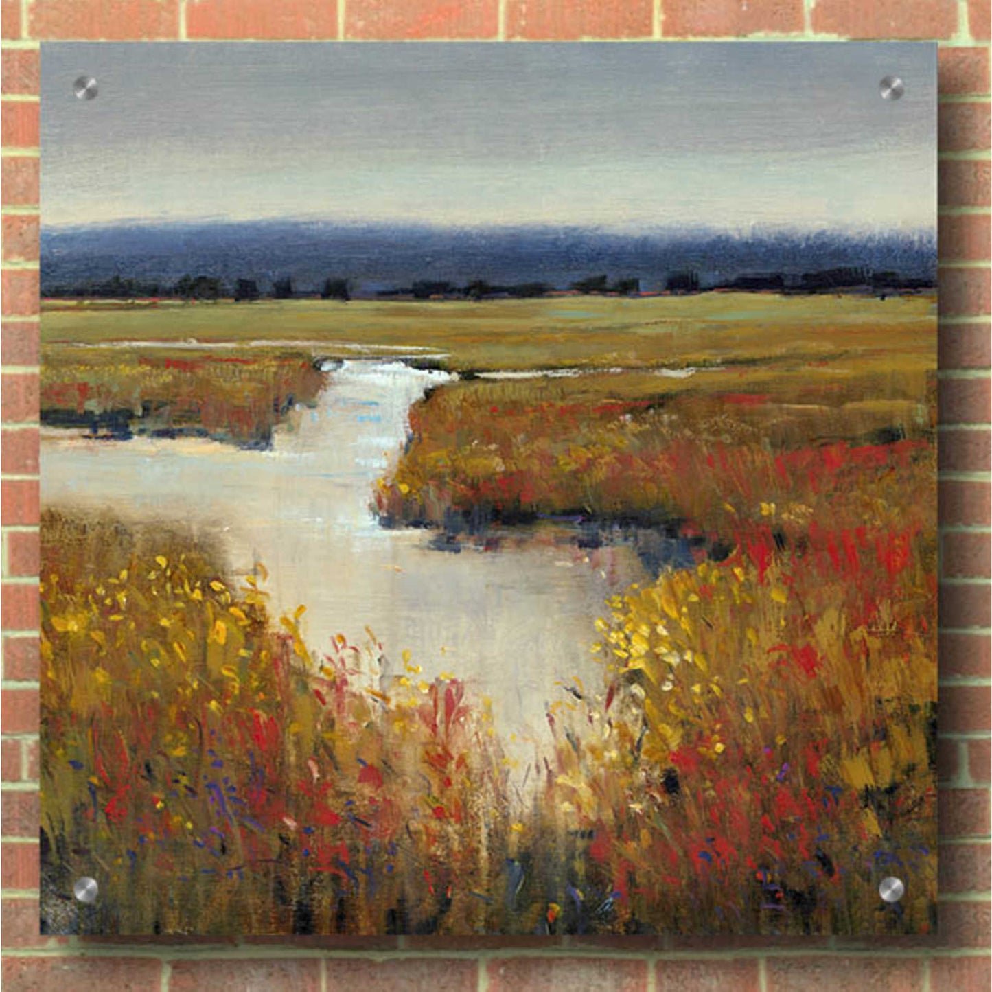 Epic Art 'Marsh Land I' by Tim O'Toole, Acrylic Glass Wall Art,36x36