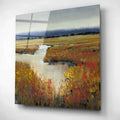 Epic Art 'Marsh Land I' by Tim O'Toole, Acrylic Glass Wall Art