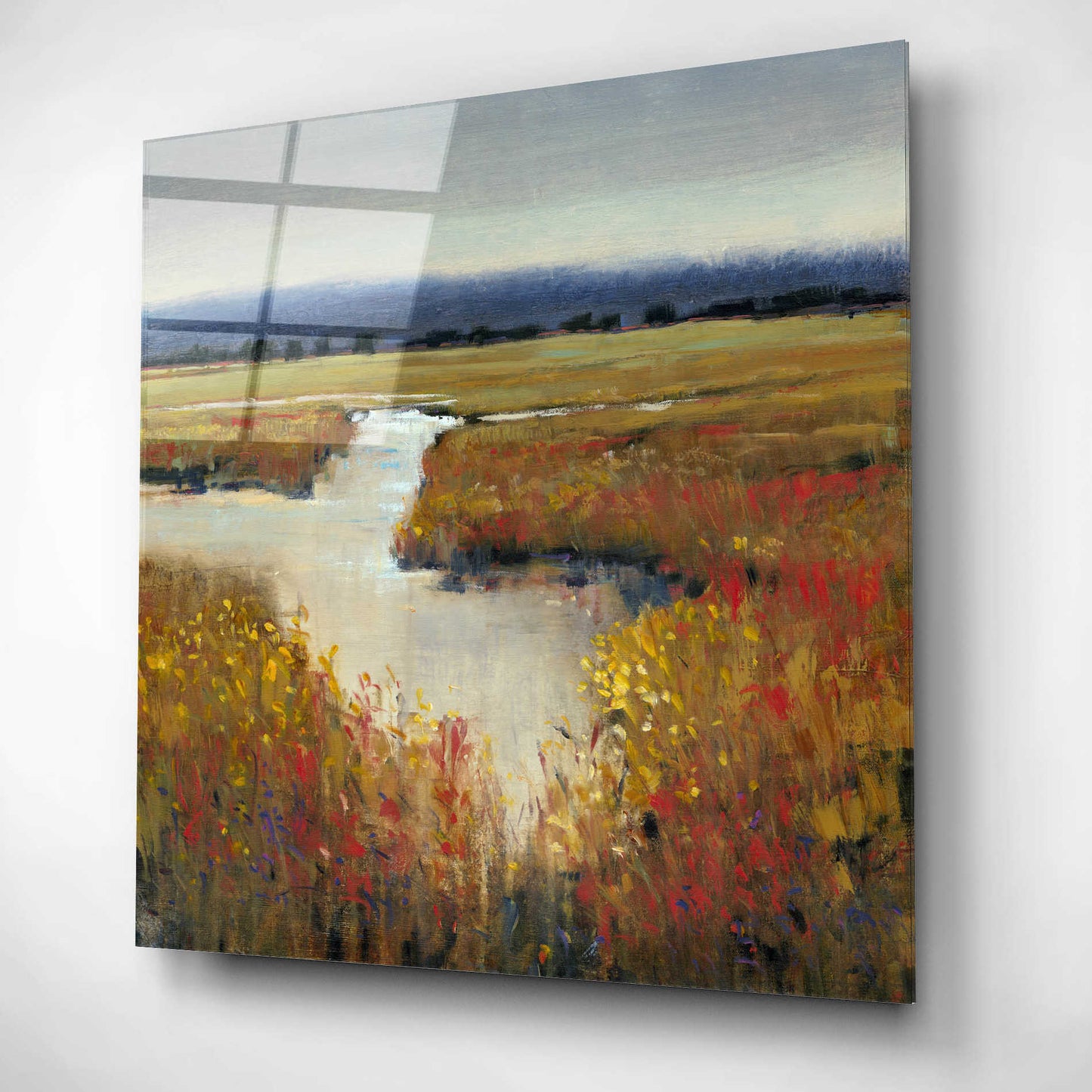 Epic Art 'Marsh Land I' by Tim O'Toole, Acrylic Glass Wall Art