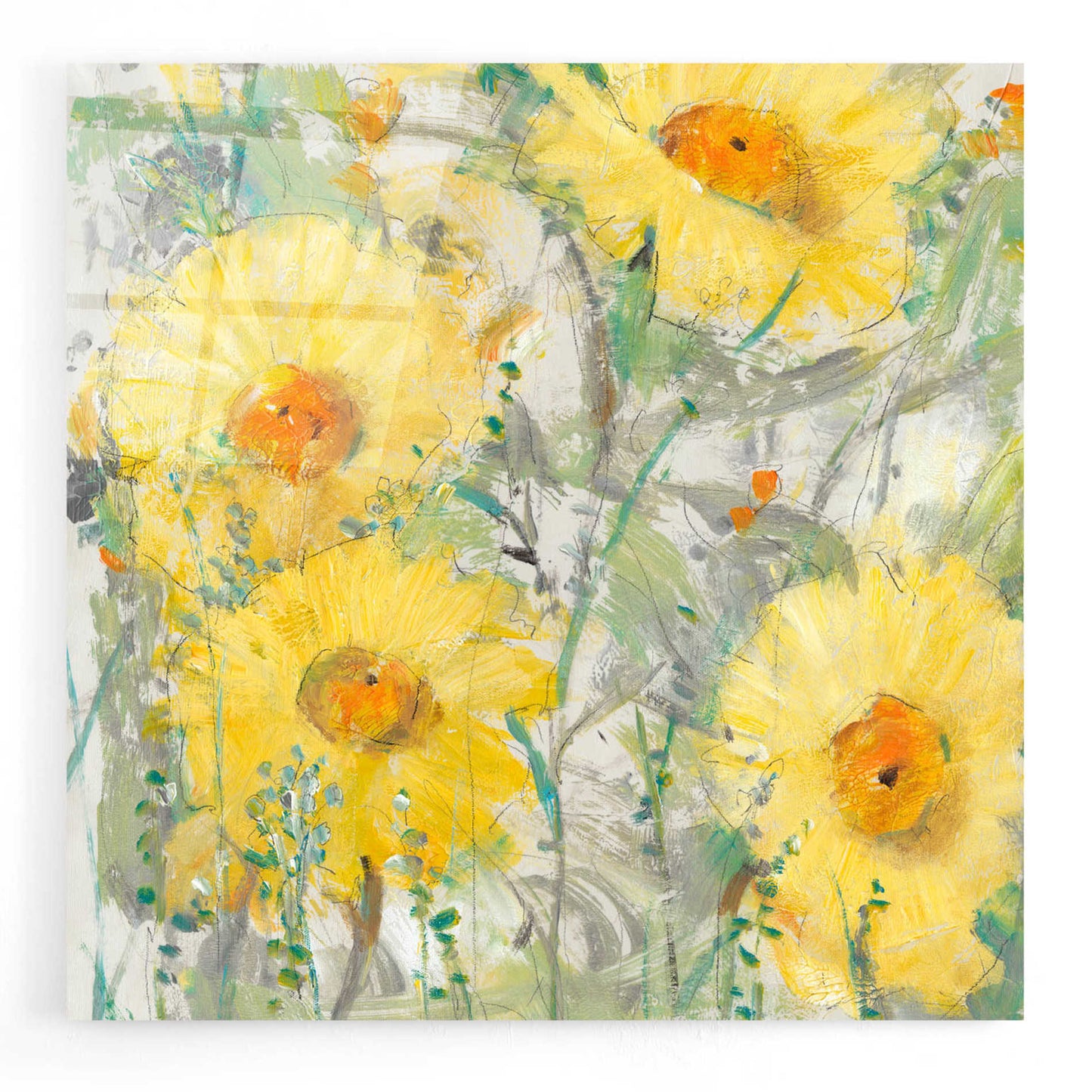 Epic Art 'Yellow Bunch II' by Tim O'Toole, Acrylic Glass Wall Art,24x24