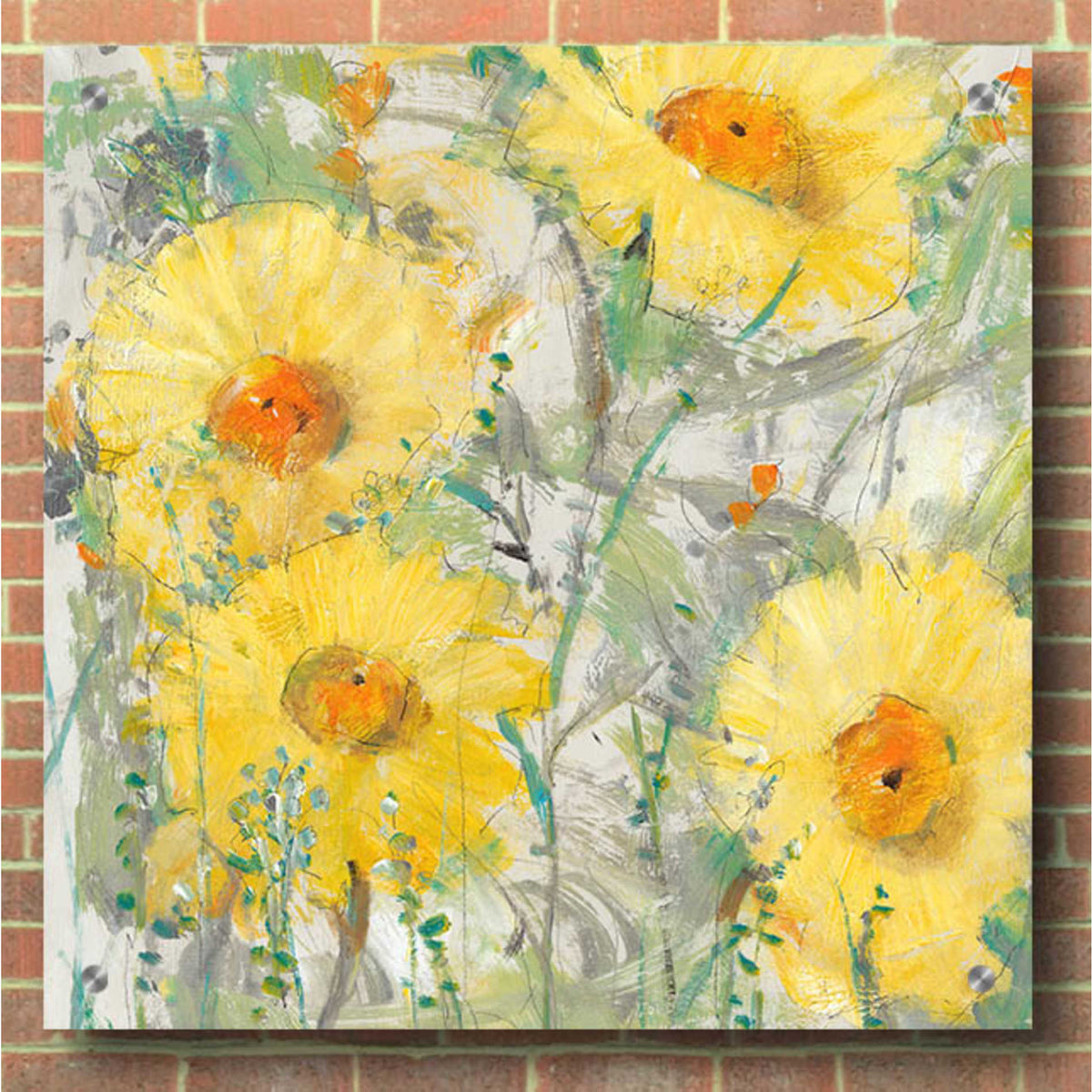 Epic Art 'Yellow Bunch II' by Tim O'Toole, Acrylic Glass Wall Art,36x36