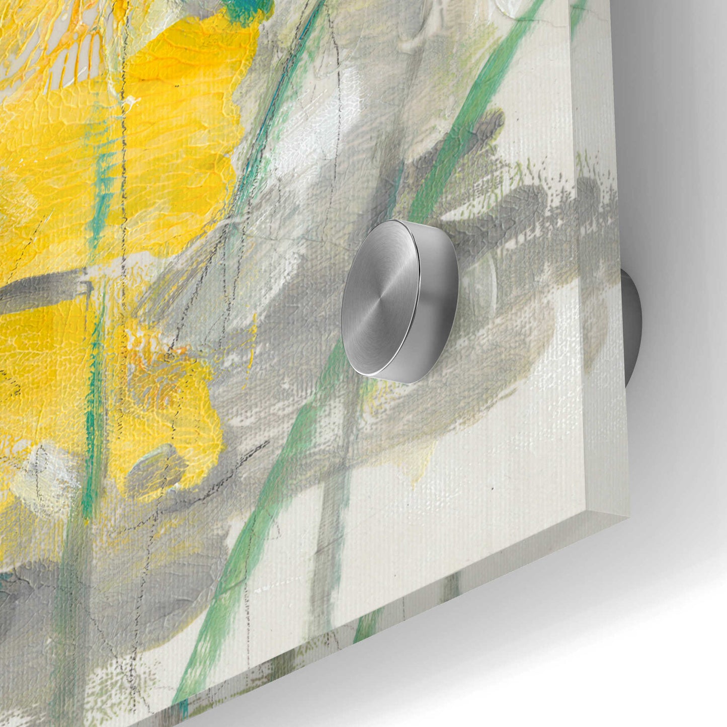 Epic Art 'Yellow Bunch I' by Tim O'Toole, Acrylic Glass Wall Art,24x24