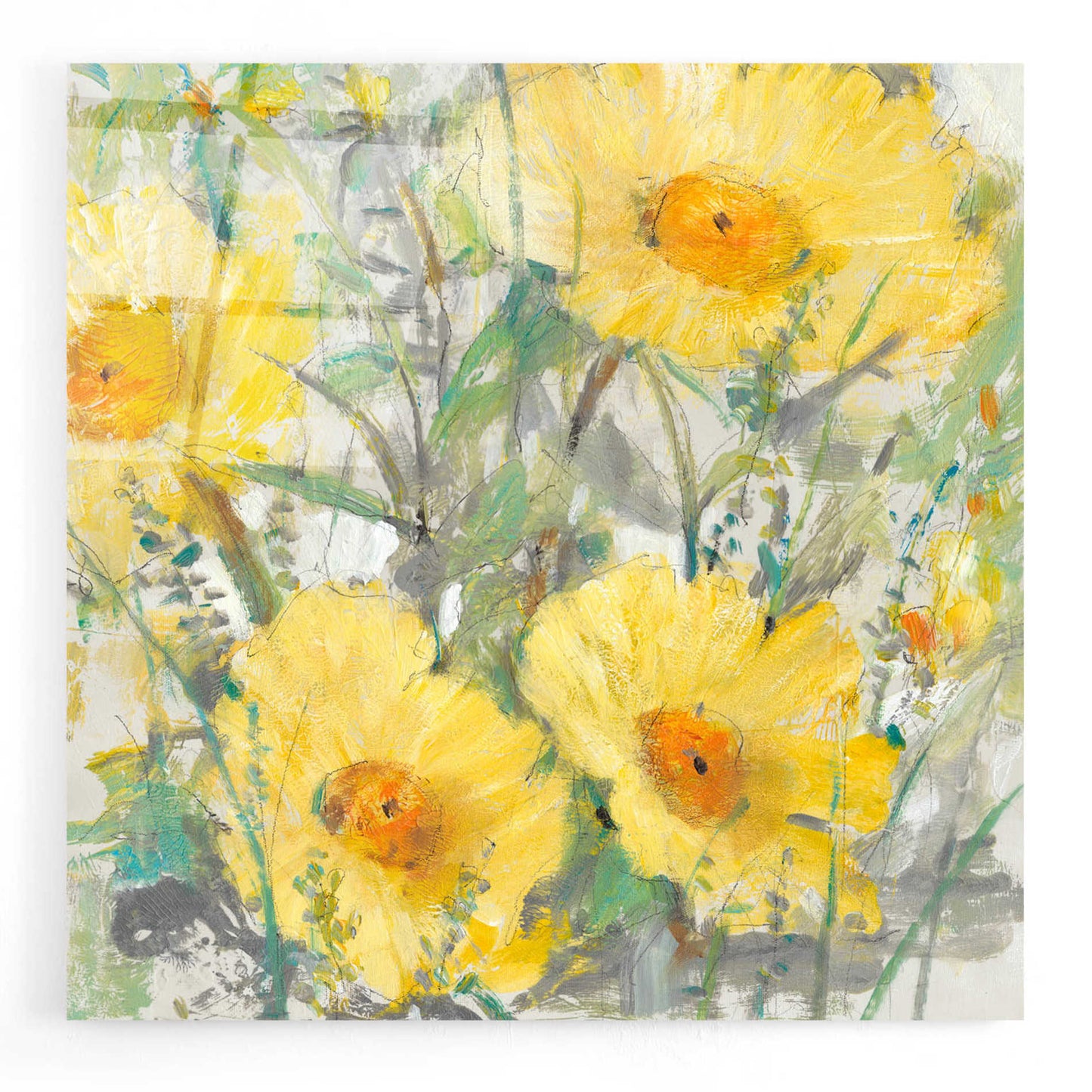 Epic Art 'Yellow Bunch I' by Tim O'Toole, Acrylic Glass Wall Art,24x24