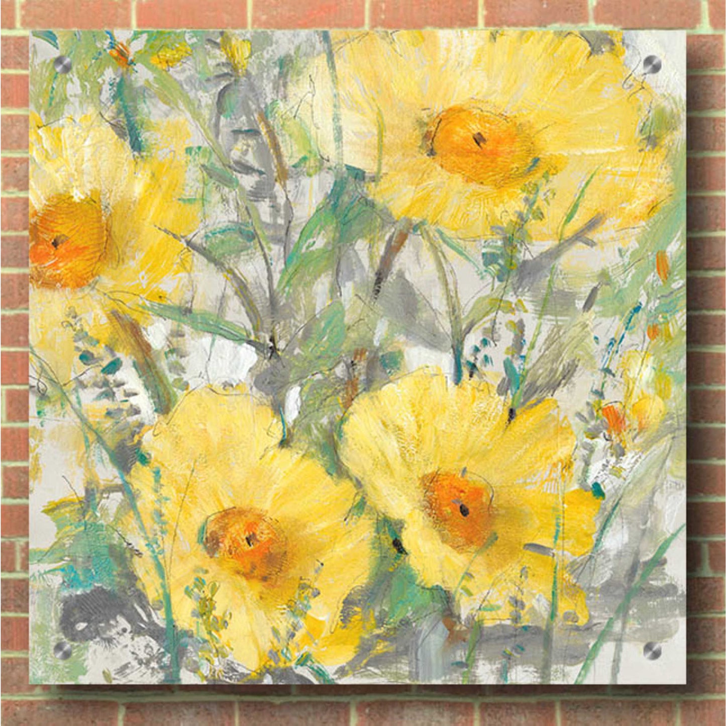 Epic Art 'Yellow Bunch I' by Tim O'Toole, Acrylic Glass Wall Art,36x36