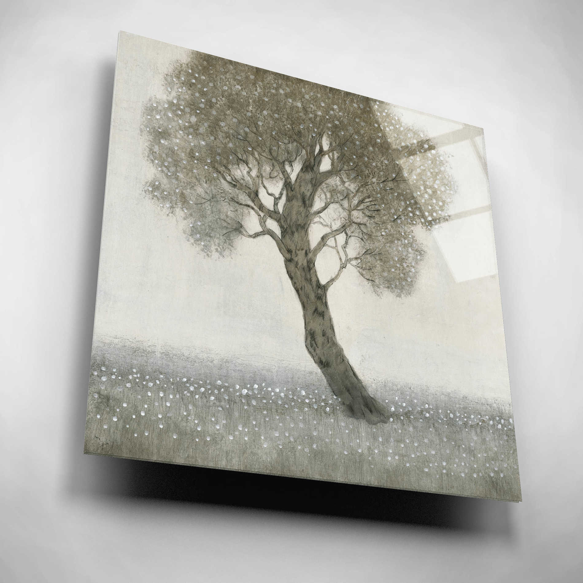 Epic Art 'White Blossom Tree' by Tim O'Toole, Acrylic Glass Wall Art,12x12