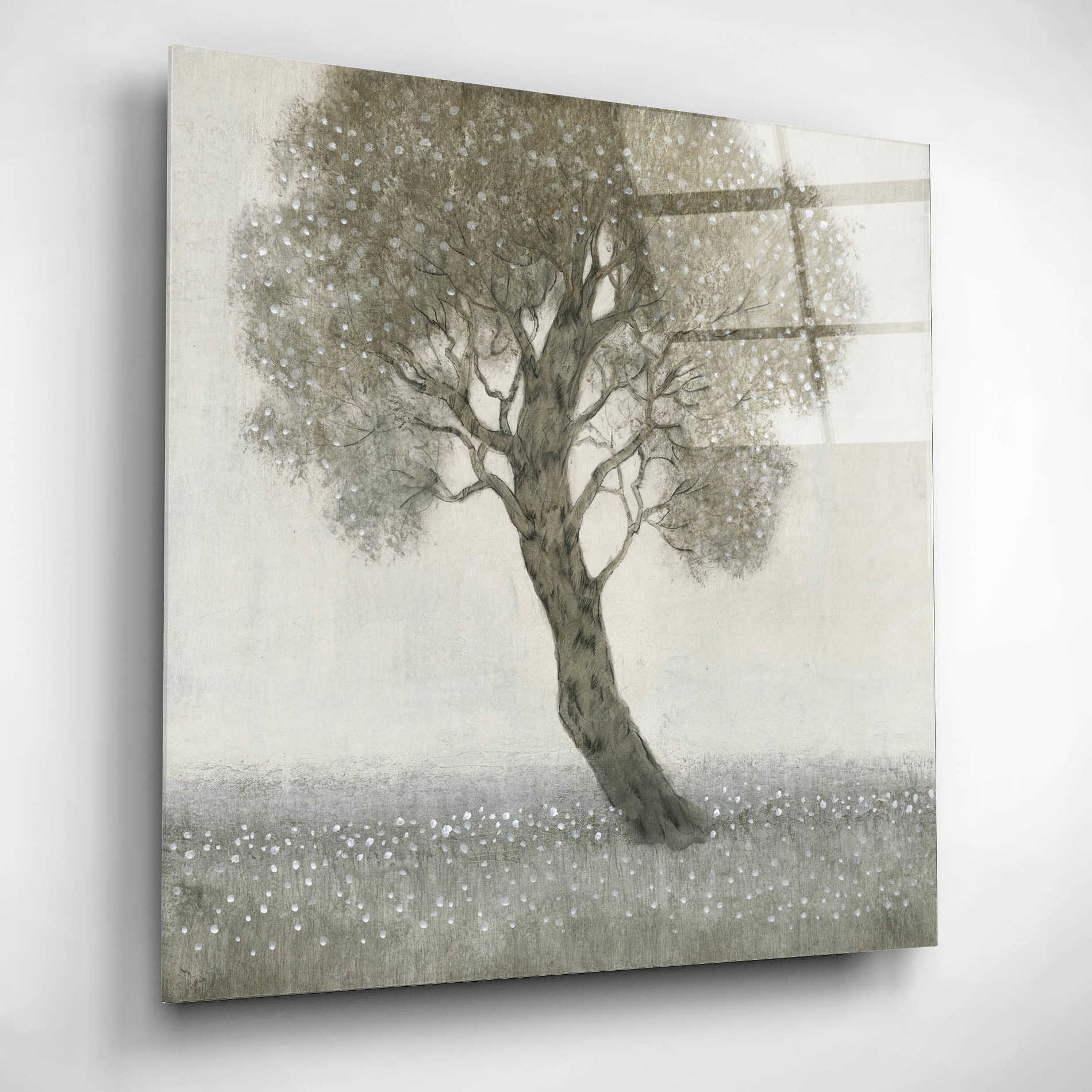 Epic Art 'White Blossom Tree' by Tim O'Toole, Acrylic Glass Wall Art,12x12