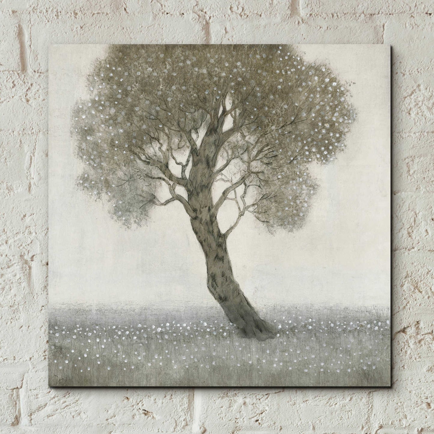 Epic Art 'White Blossom Tree' by Tim O'Toole, Acrylic Glass Wall Art,12x12