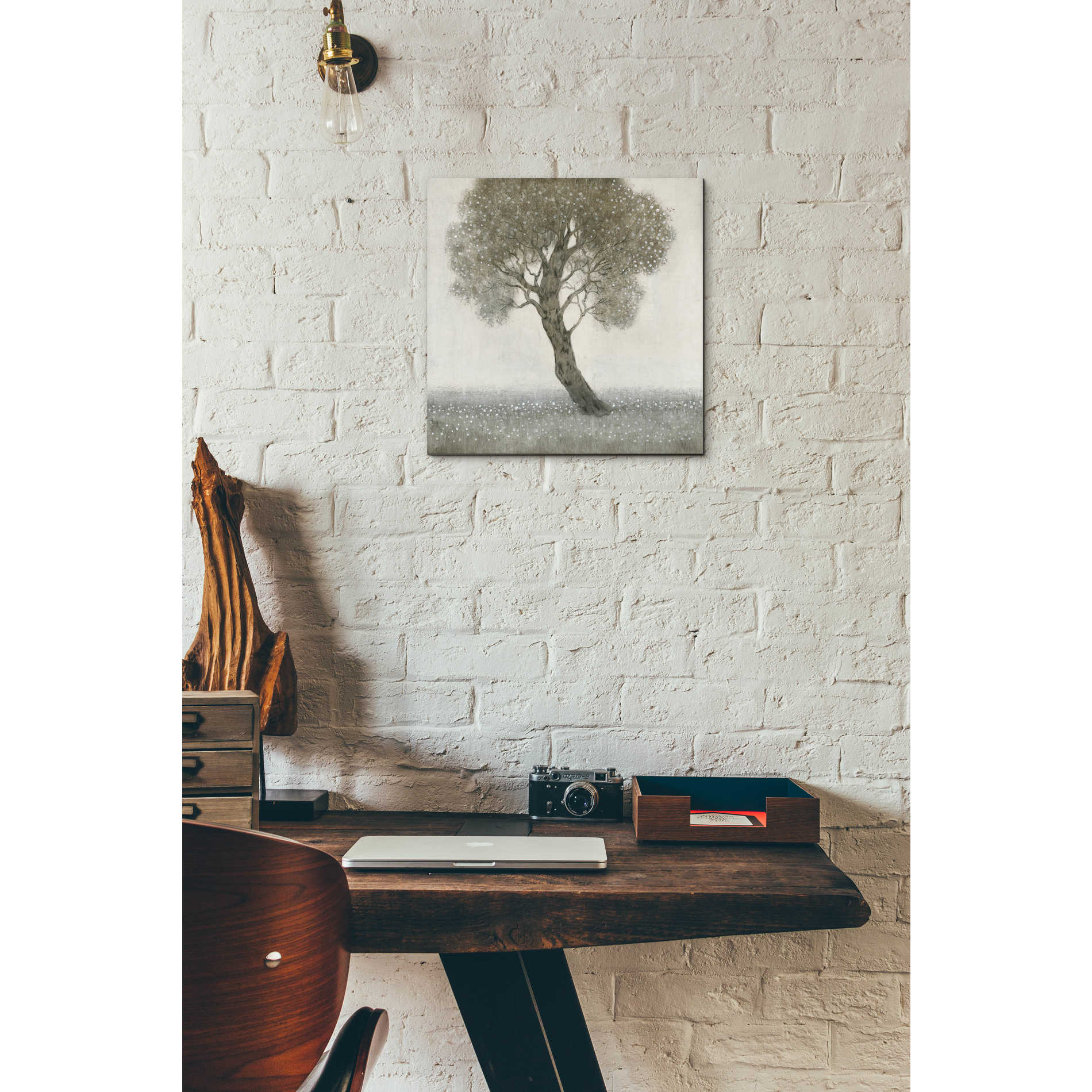 Epic Art 'White Blossom Tree' by Tim O'Toole, Acrylic Glass Wall Art,12x12