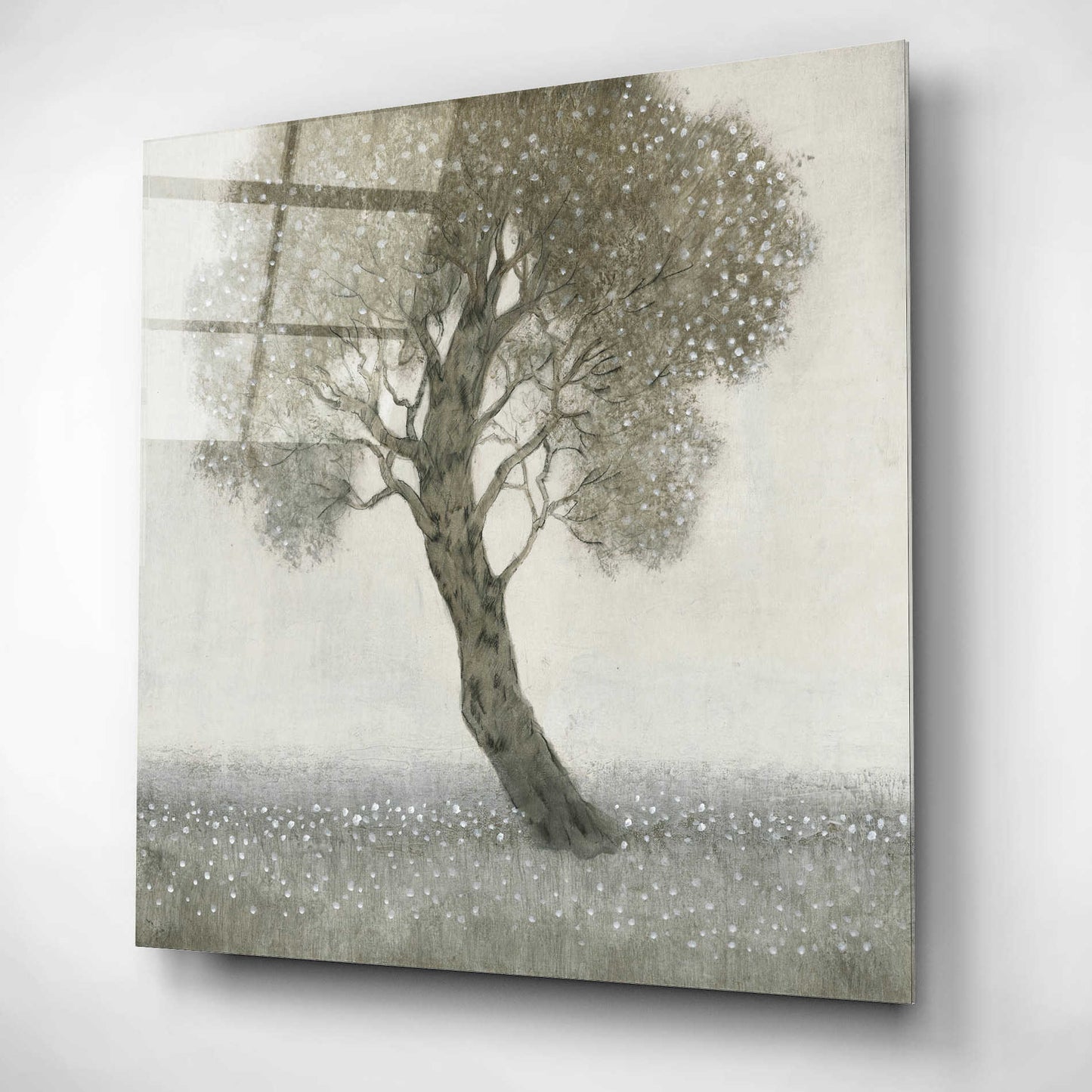 Epic Art 'White Blossom Tree' by Tim O'Toole, Acrylic Glass Wall Art,12x12