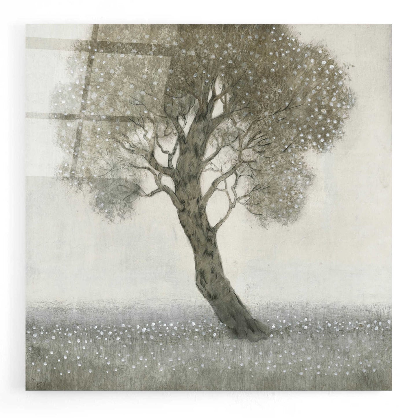 Epic Art 'White Blossom Tree' by Tim O'Toole, Acrylic Glass Wall Art,24x24