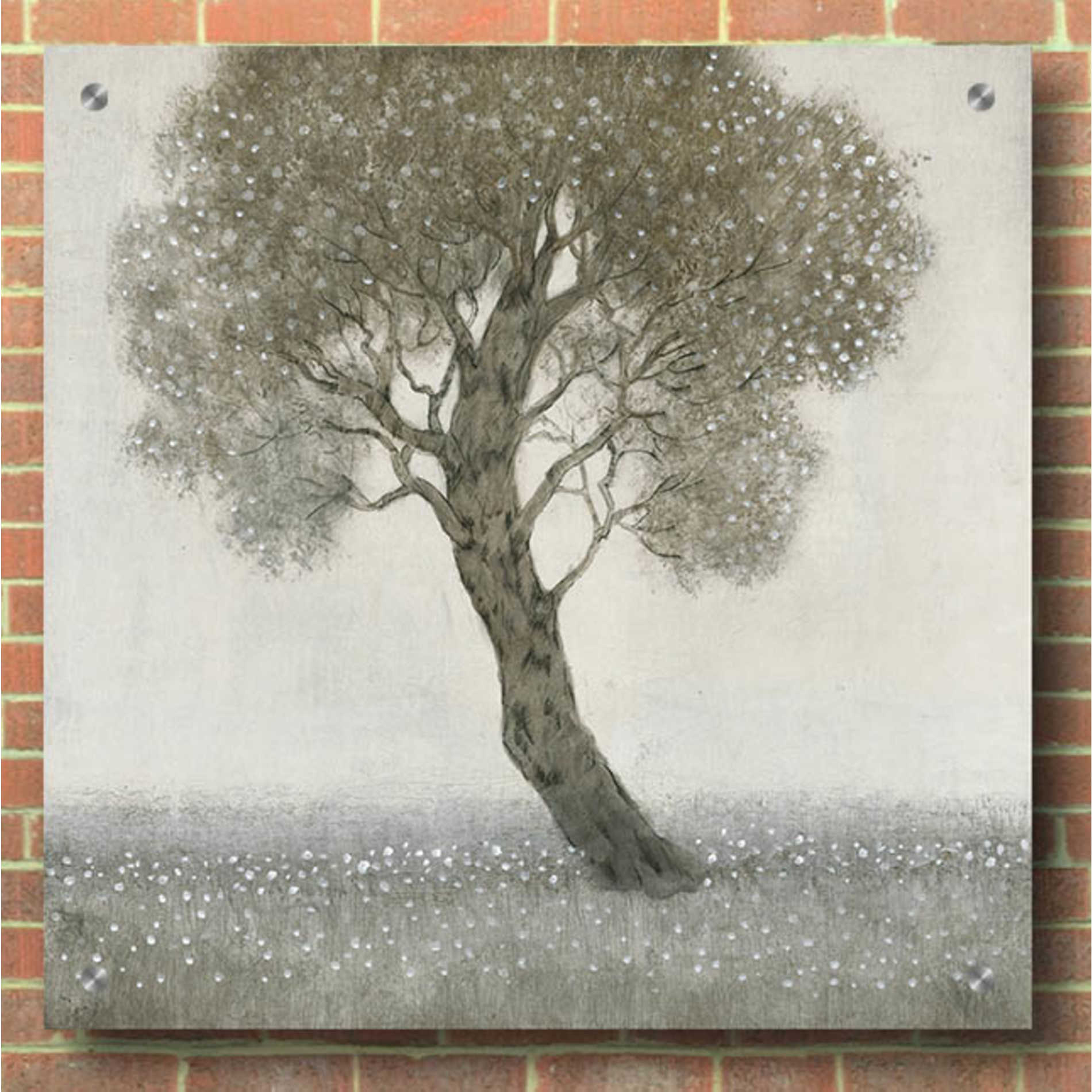 Epic Art 'White Blossom Tree' by Tim O'Toole, Acrylic Glass Wall Art,36x36