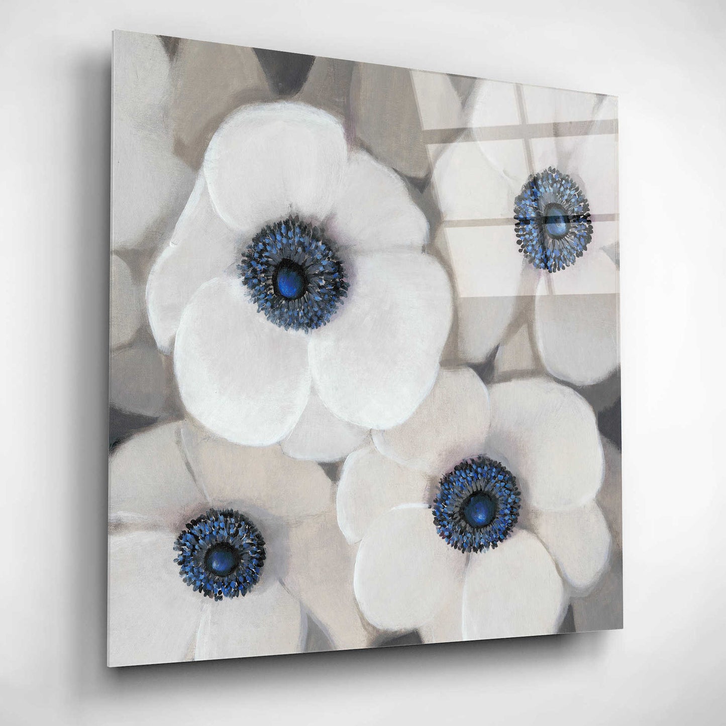 Epic Art 'White Anemone II' by Tim O'Toole, Acrylic Glass Wall Art,12x12