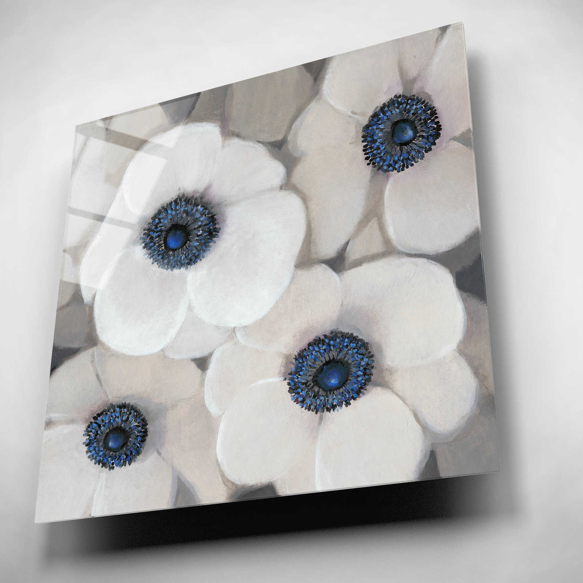 Epic Art 'White Anemone II' by Tim O'Toole, Acrylic Glass Wall Art,12x12