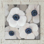Epic Art 'White Anemone II' by Tim O'Toole, Acrylic Glass Wall Art,12x12