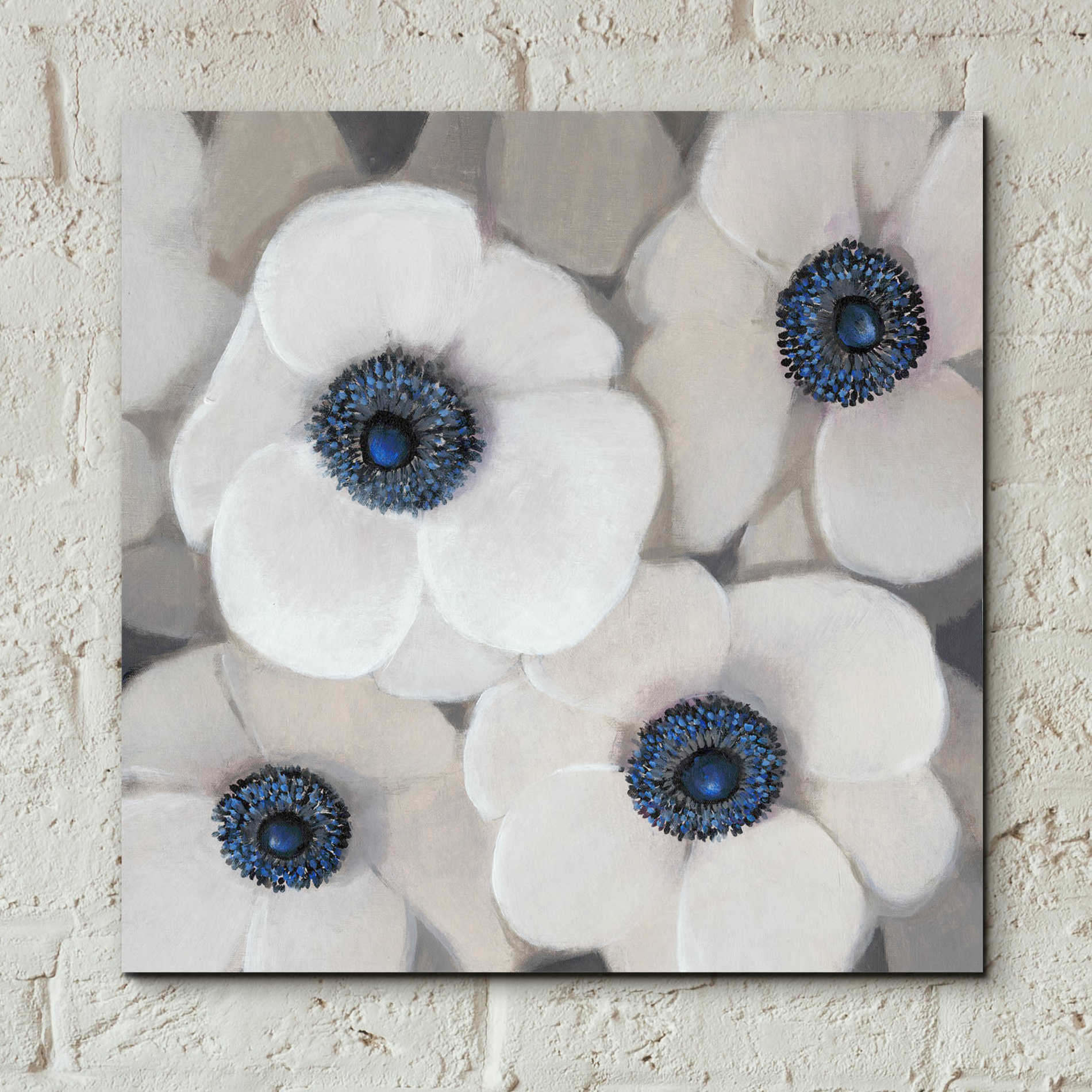 Epic Art 'White Anemone II' by Tim O'Toole, Acrylic Glass Wall Art,12x12