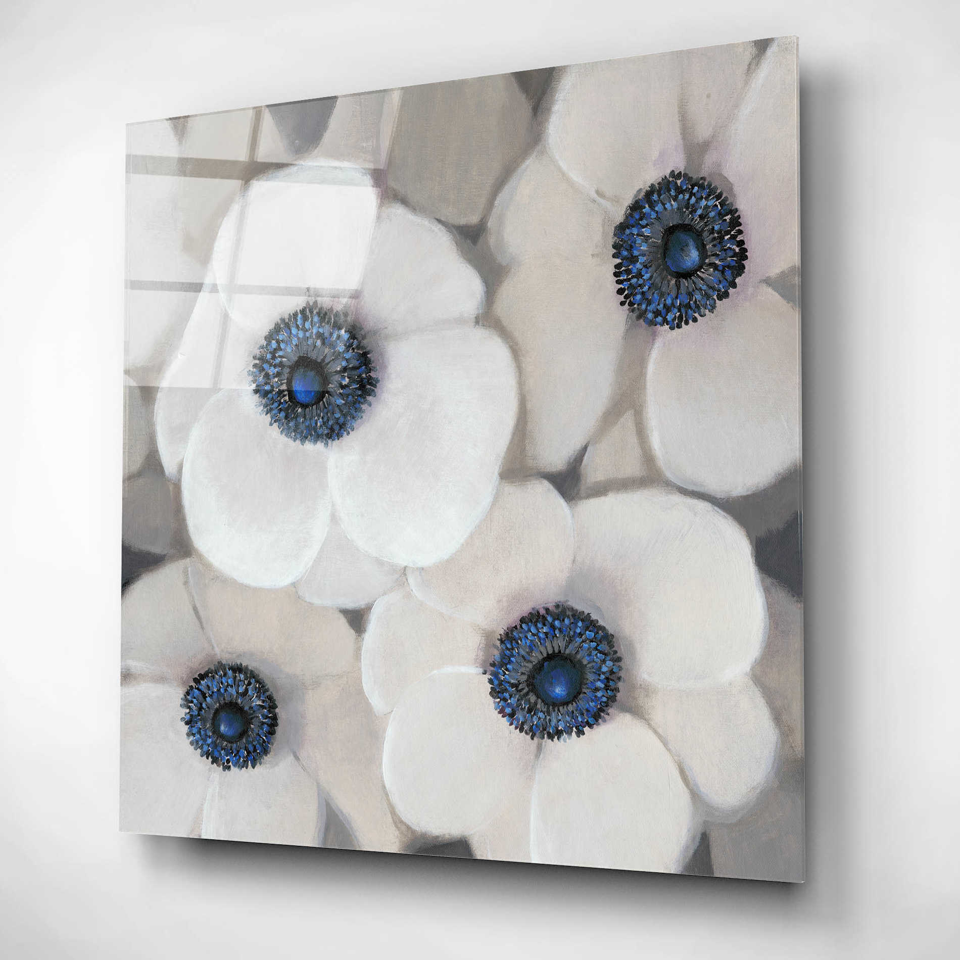 Epic Art 'White Anemone II' by Tim O'Toole, Acrylic Glass Wall Art,12x12